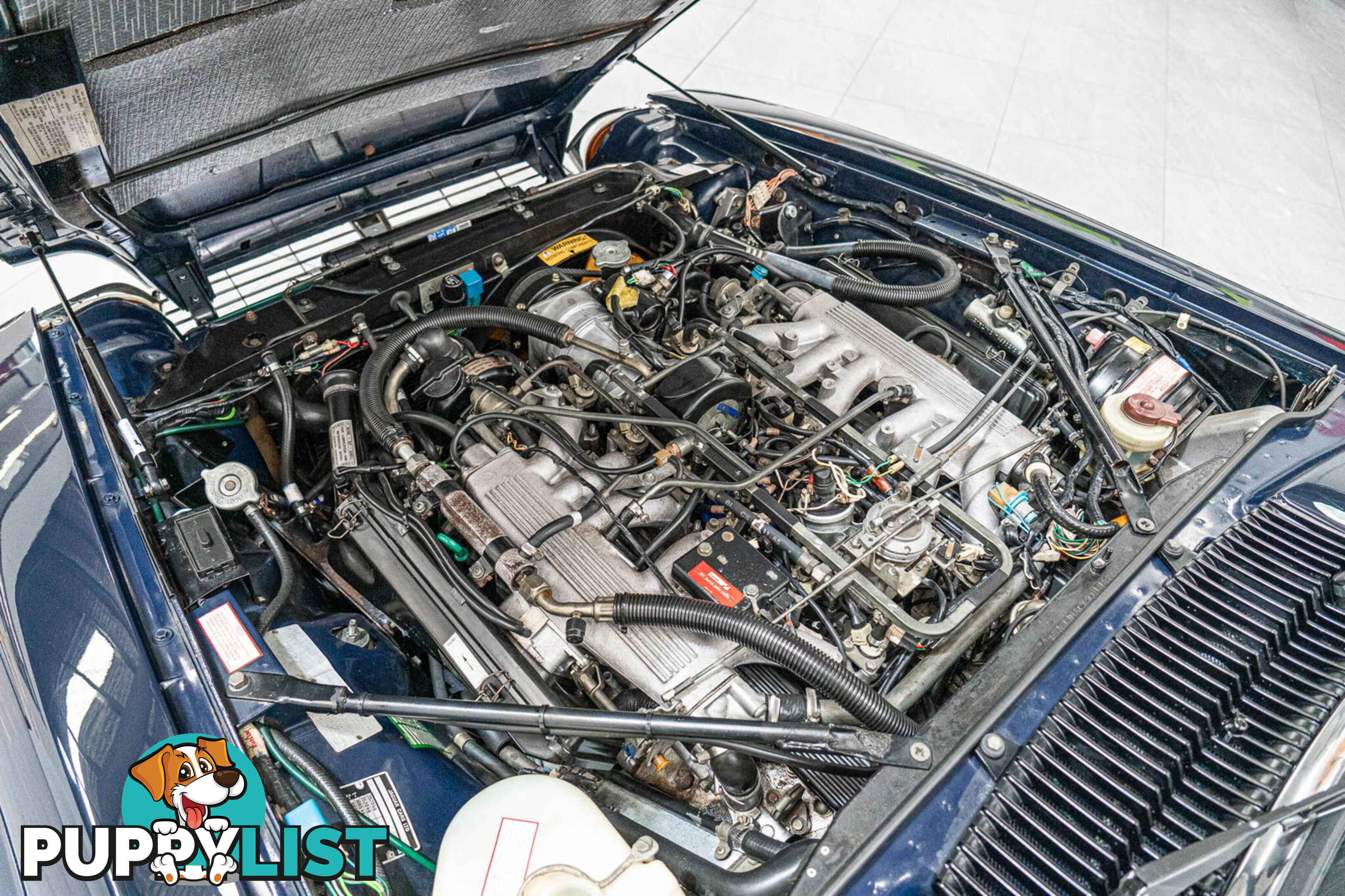 1986 Jaguar XJSC V12 