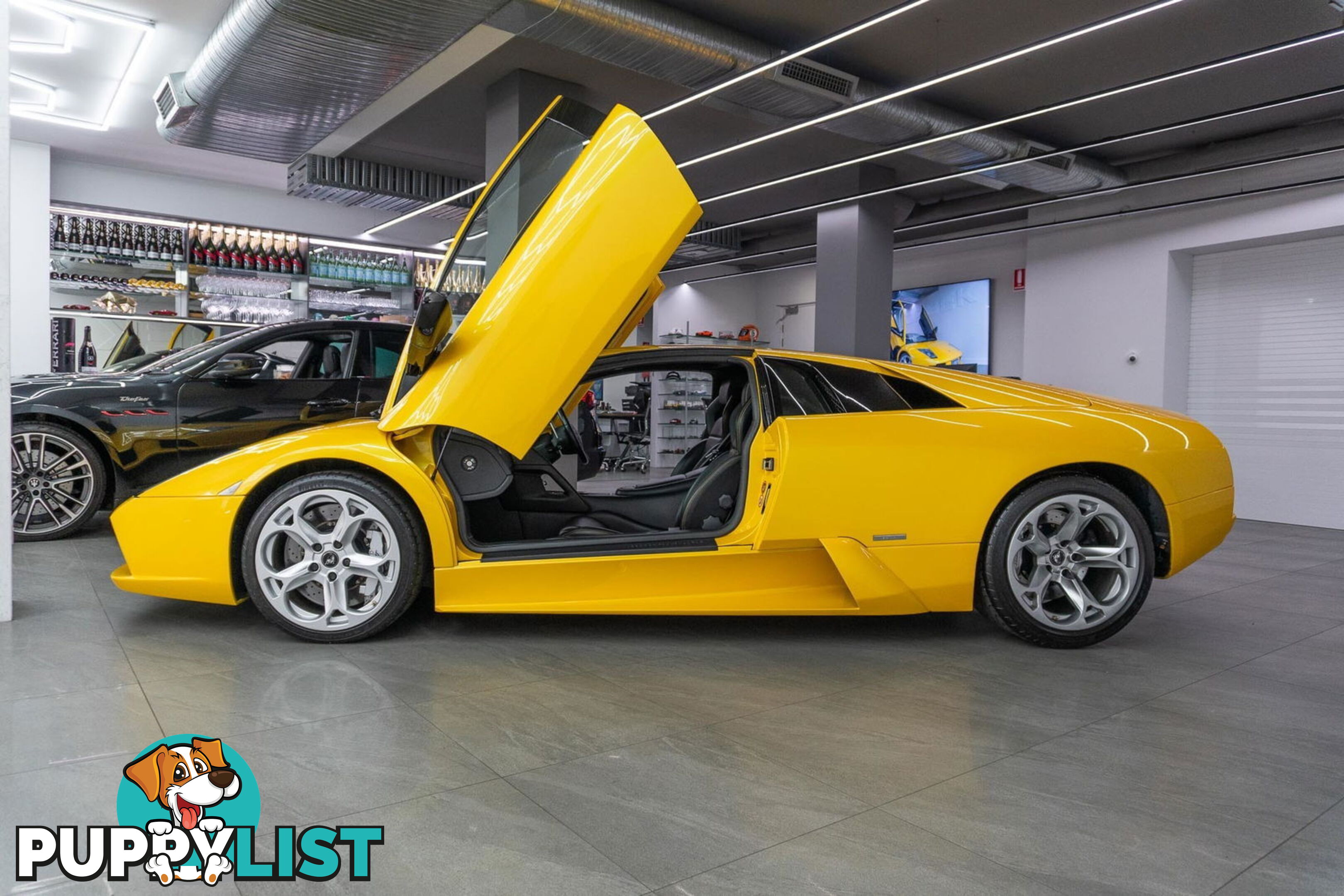 2006 Lamborghini Murcielago  