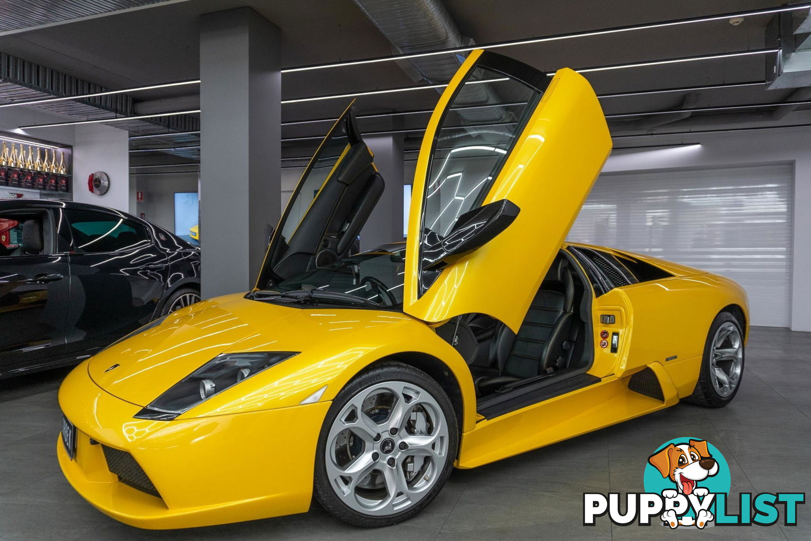2006 Lamborghini Murcielago  
