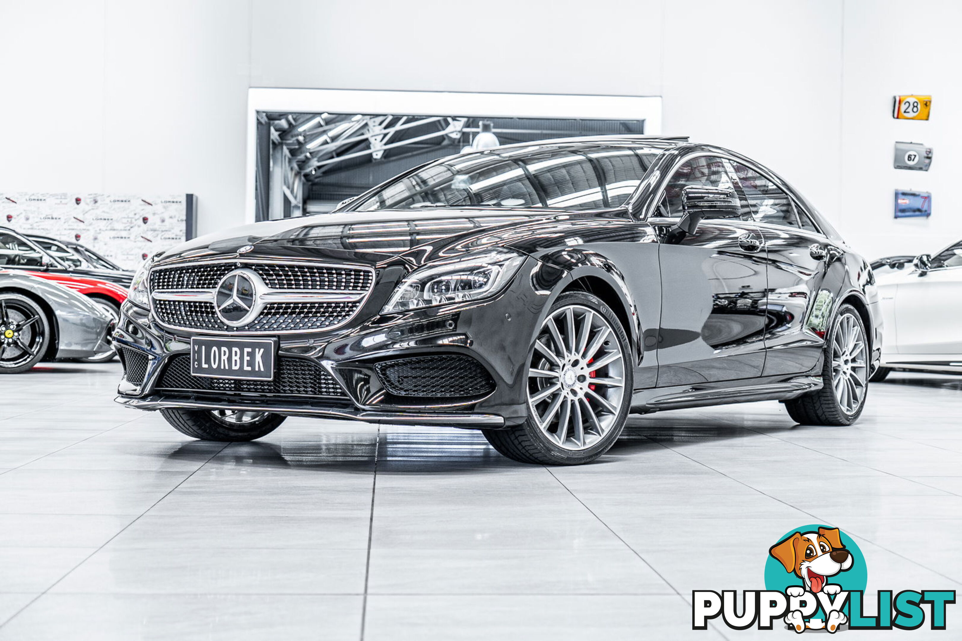 2015 Mercedes-Benz CLS250D  218