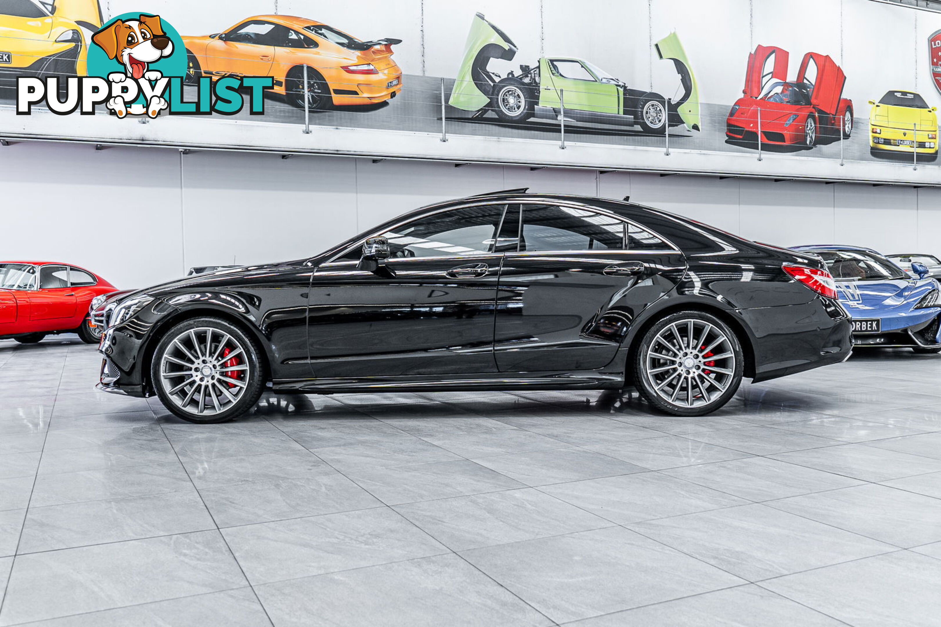 2015 Mercedes-Benz CLS250D  218