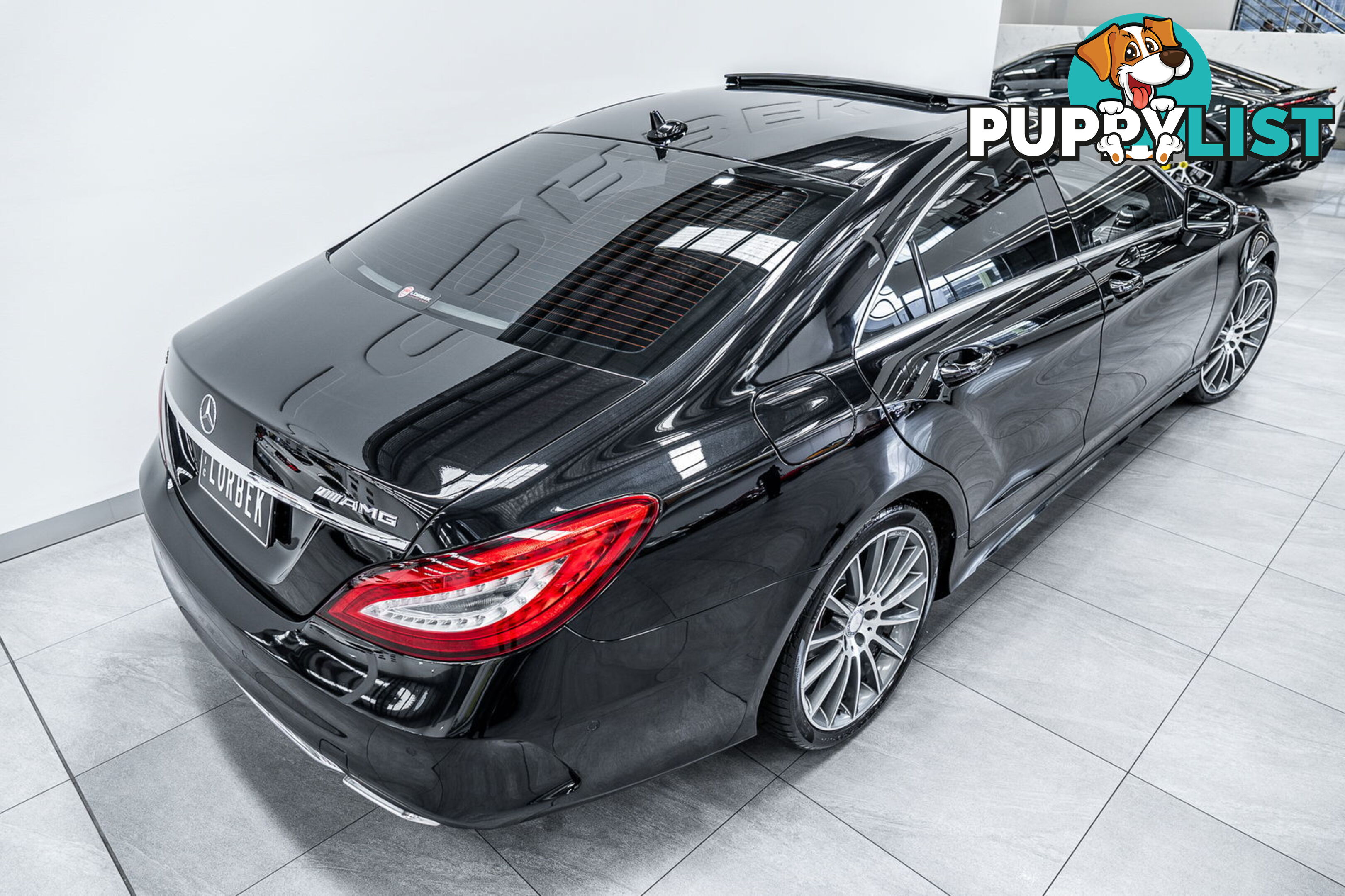 2015 Mercedes-Benz CLS250D  218