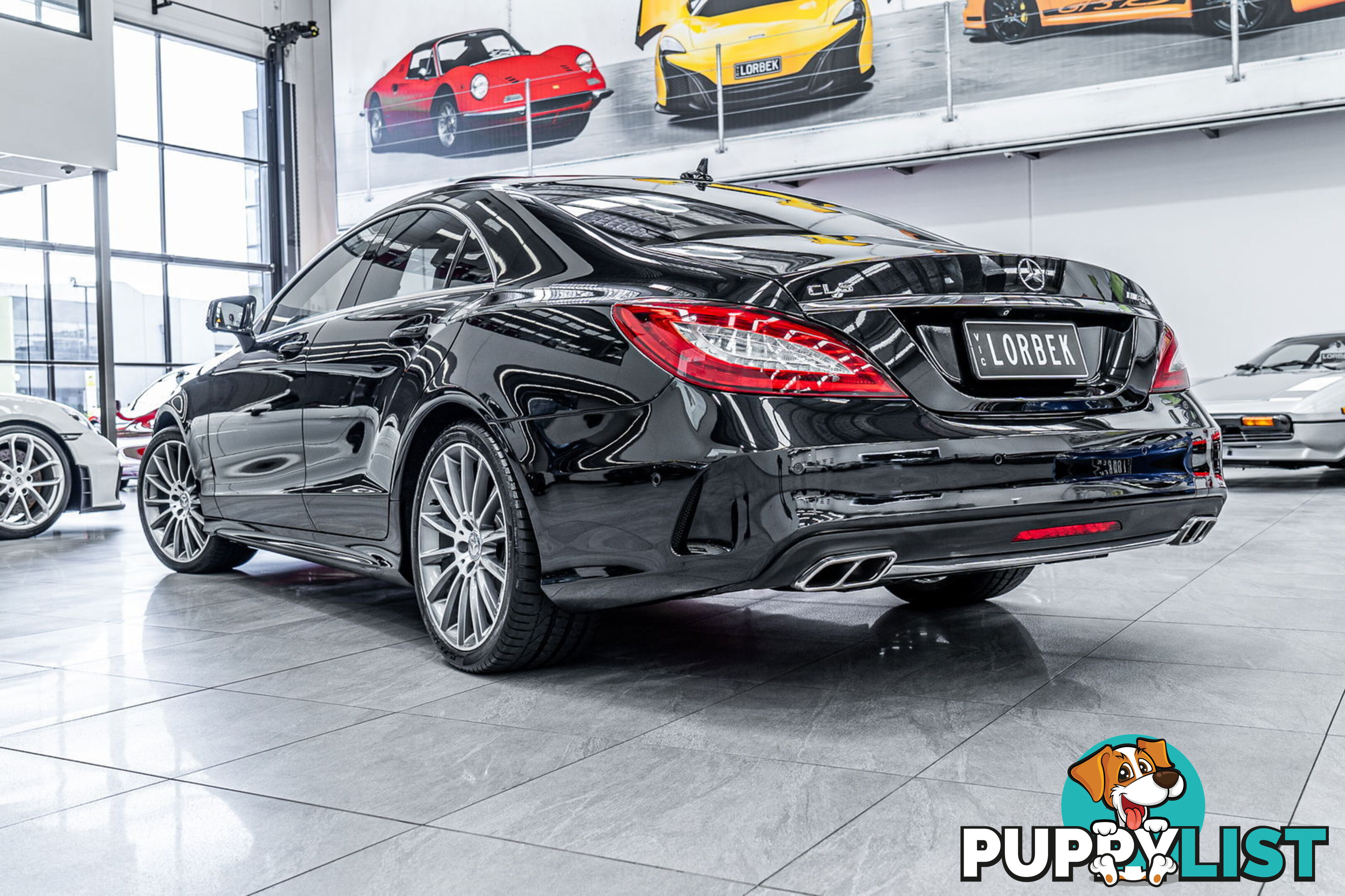 2015 Mercedes-Benz CLS250D  218