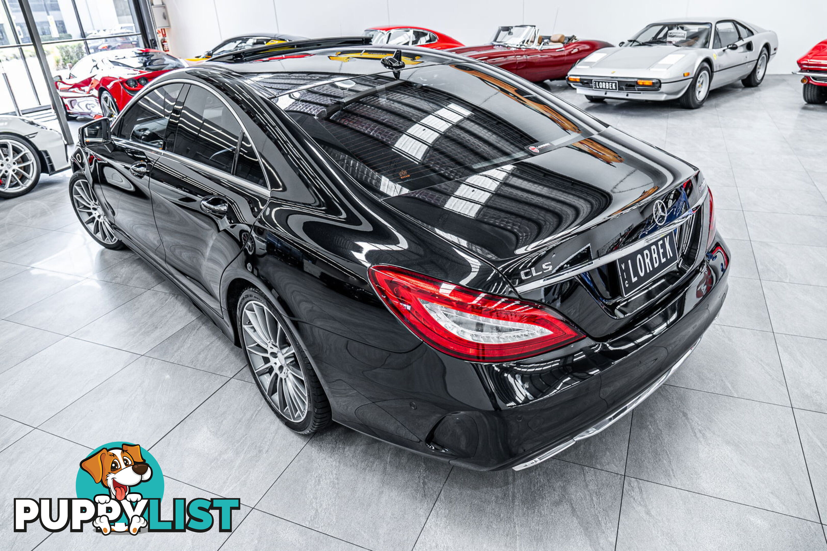 2015 Mercedes-Benz CLS250D  218