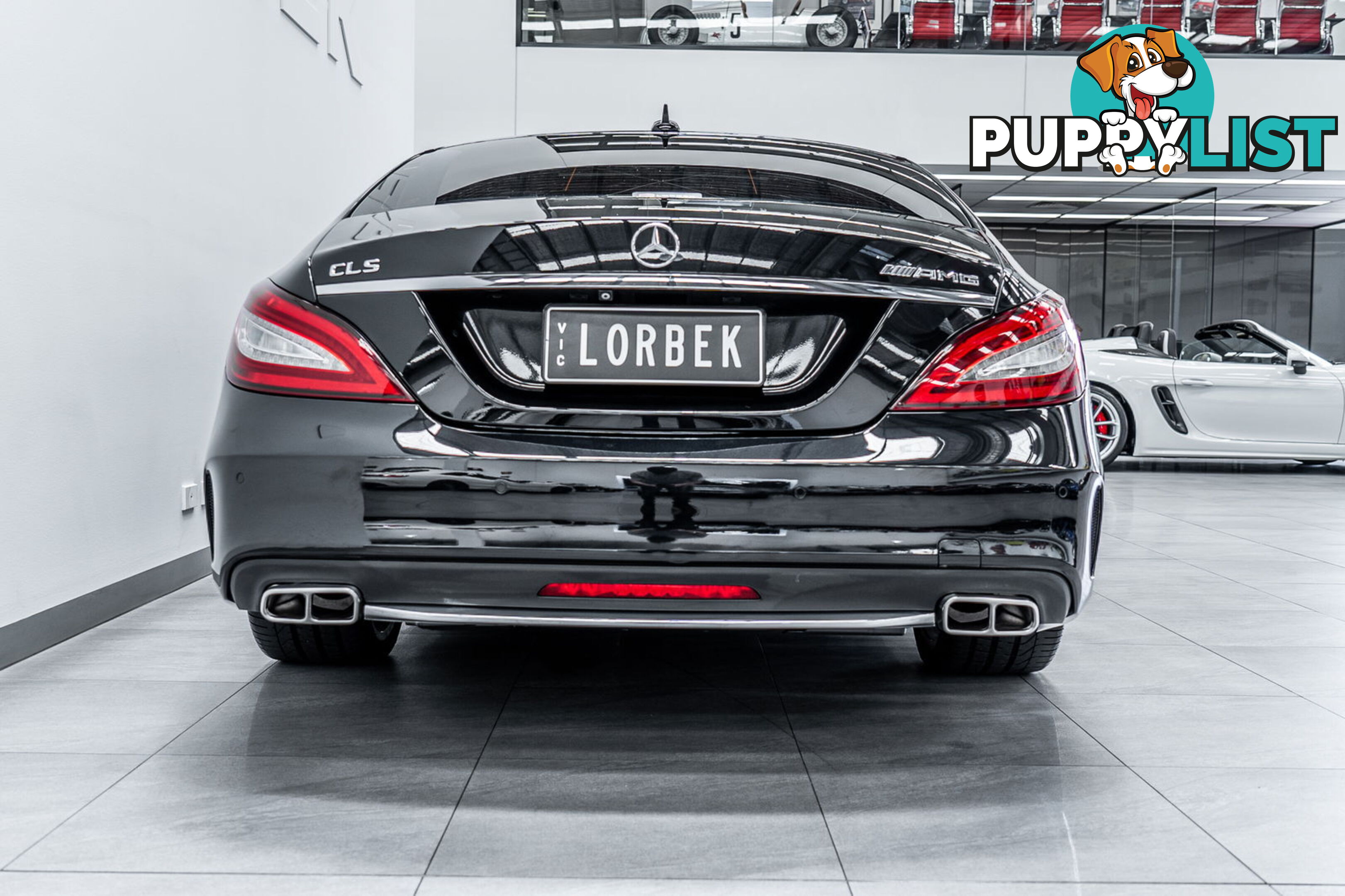 2015 Mercedes-Benz CLS250D  218