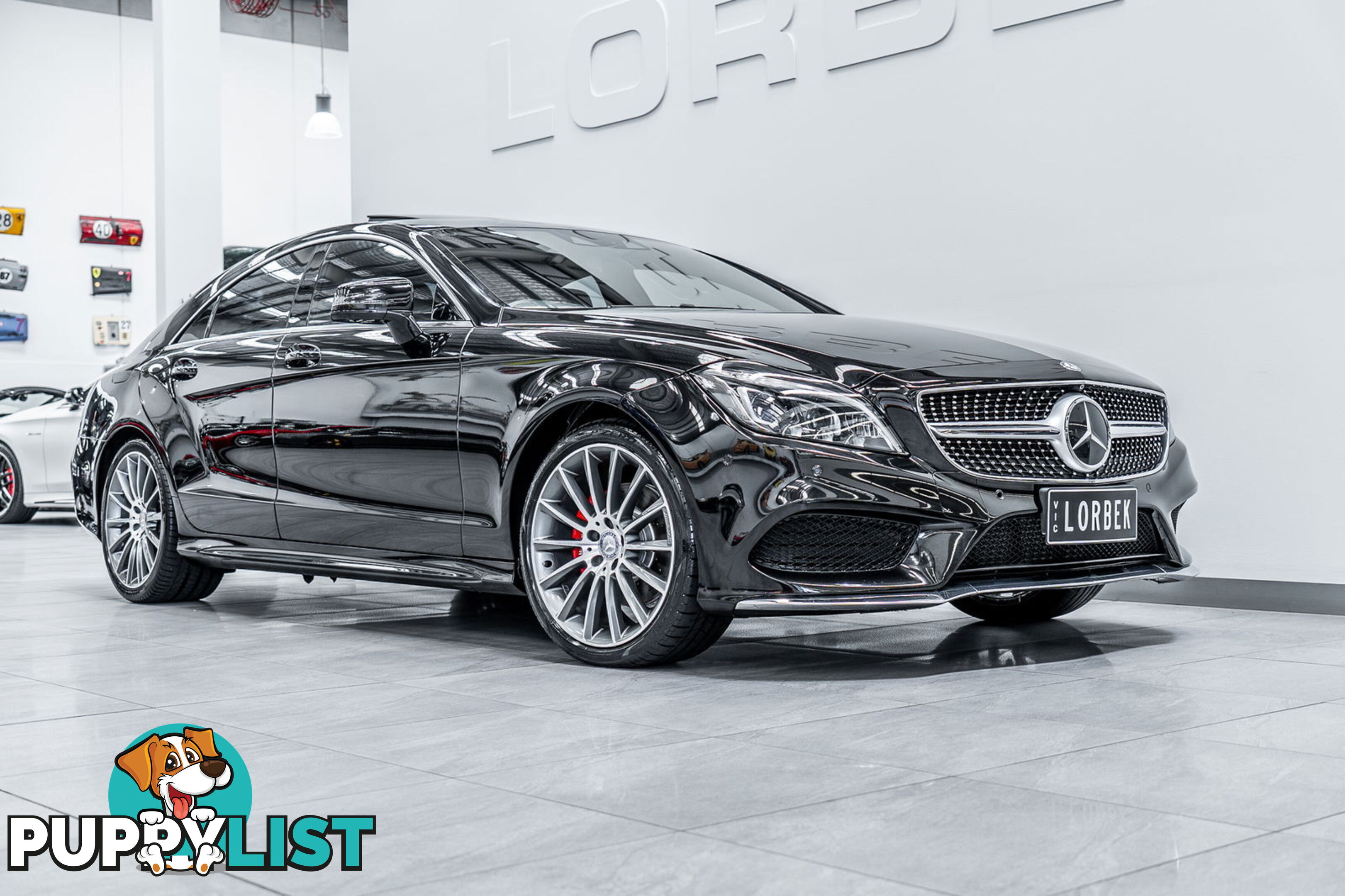 2015 Mercedes-Benz CLS250D  218