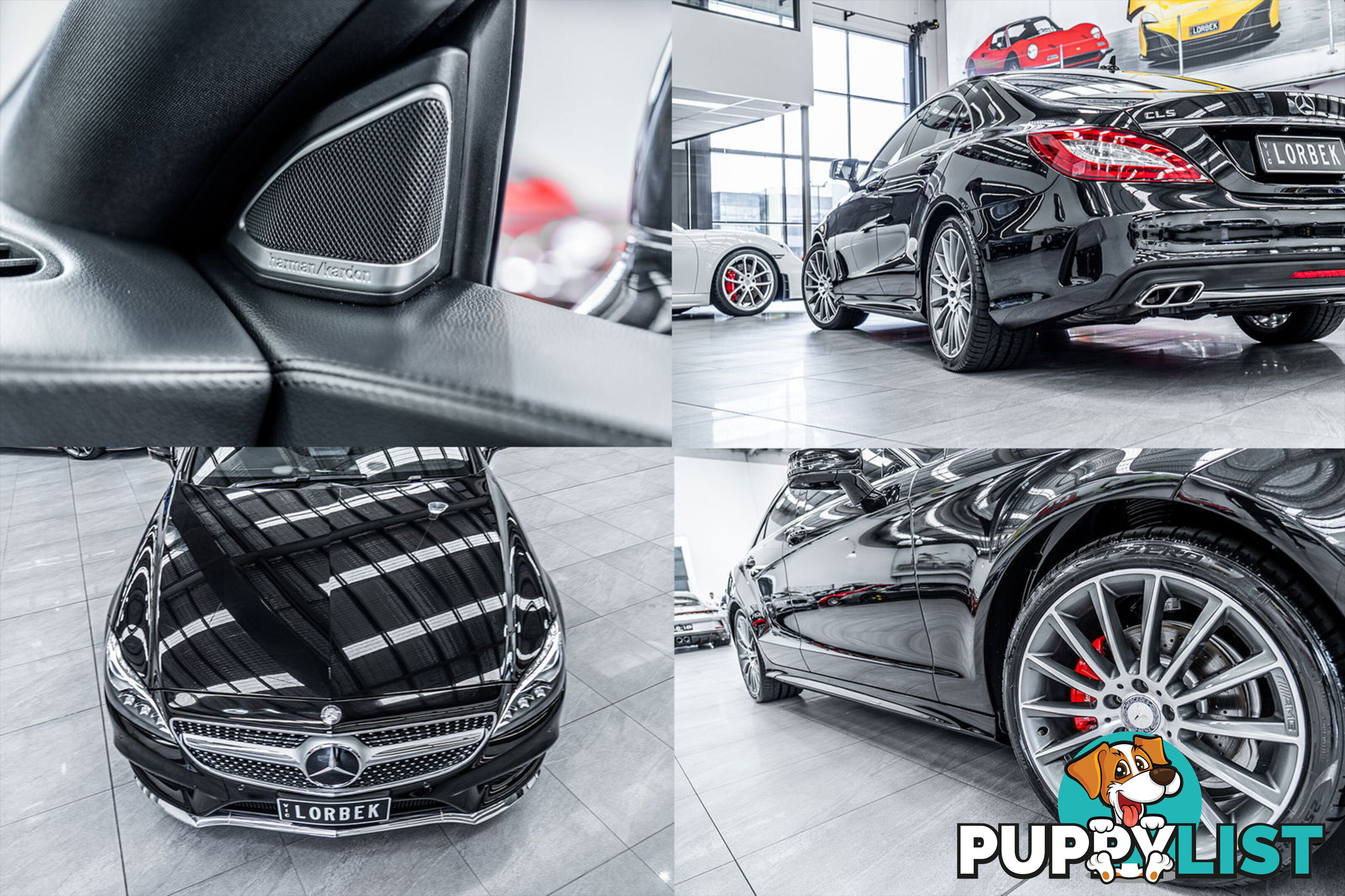 2015 Mercedes-Benz CLS250D  218