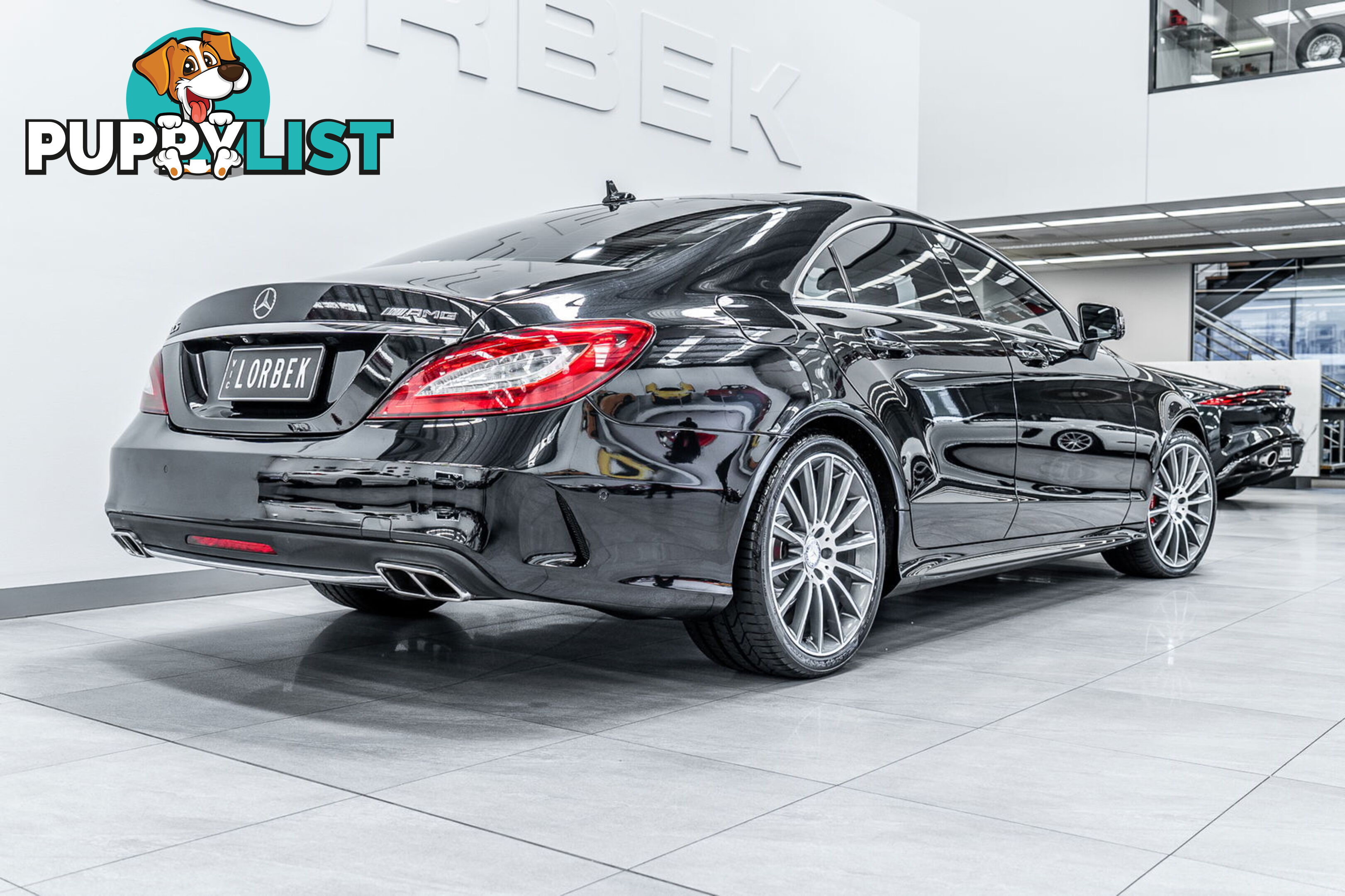 2015 Mercedes-Benz CLS250D  218