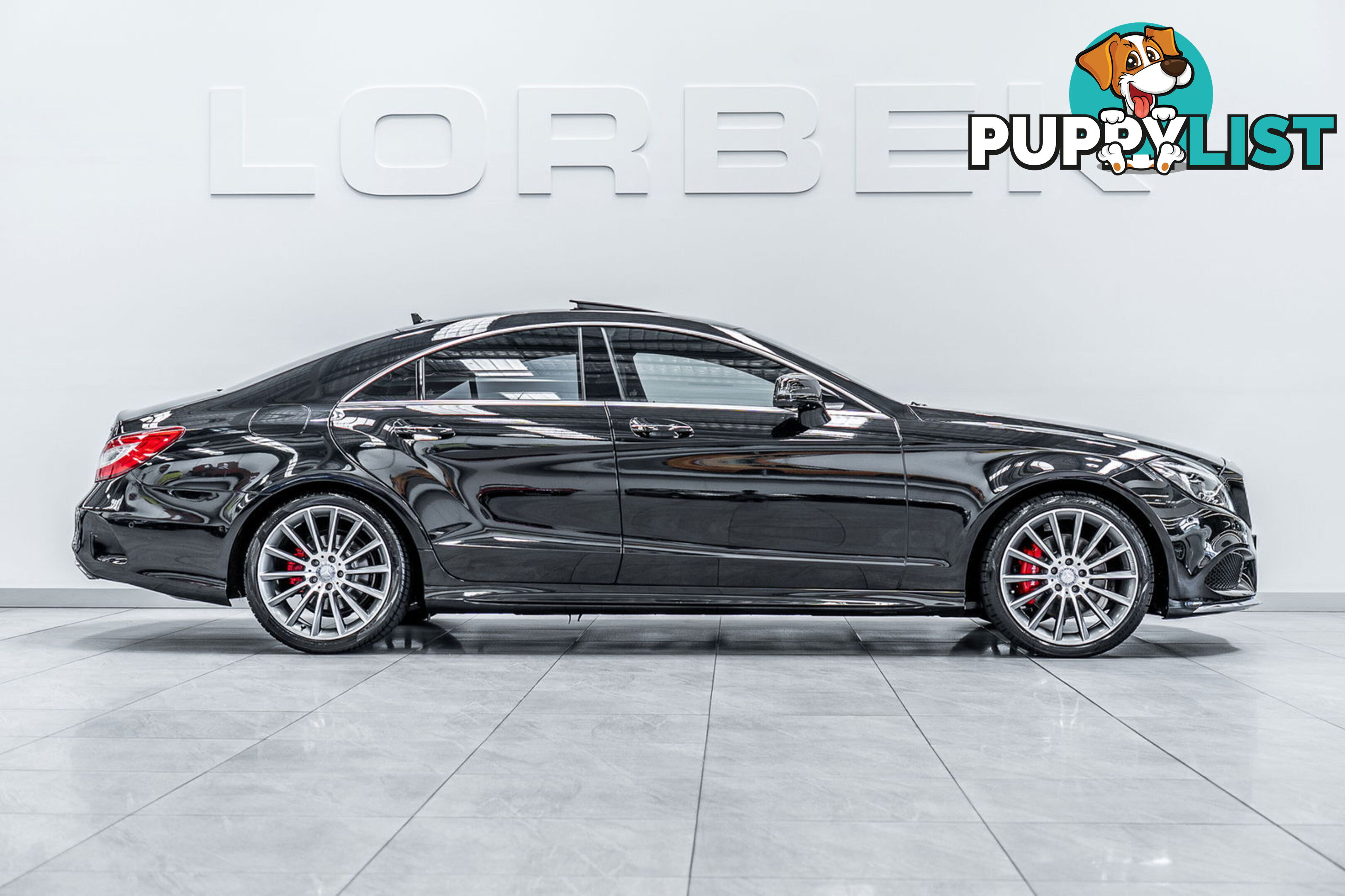 2015 Mercedes-Benz CLS250D  218