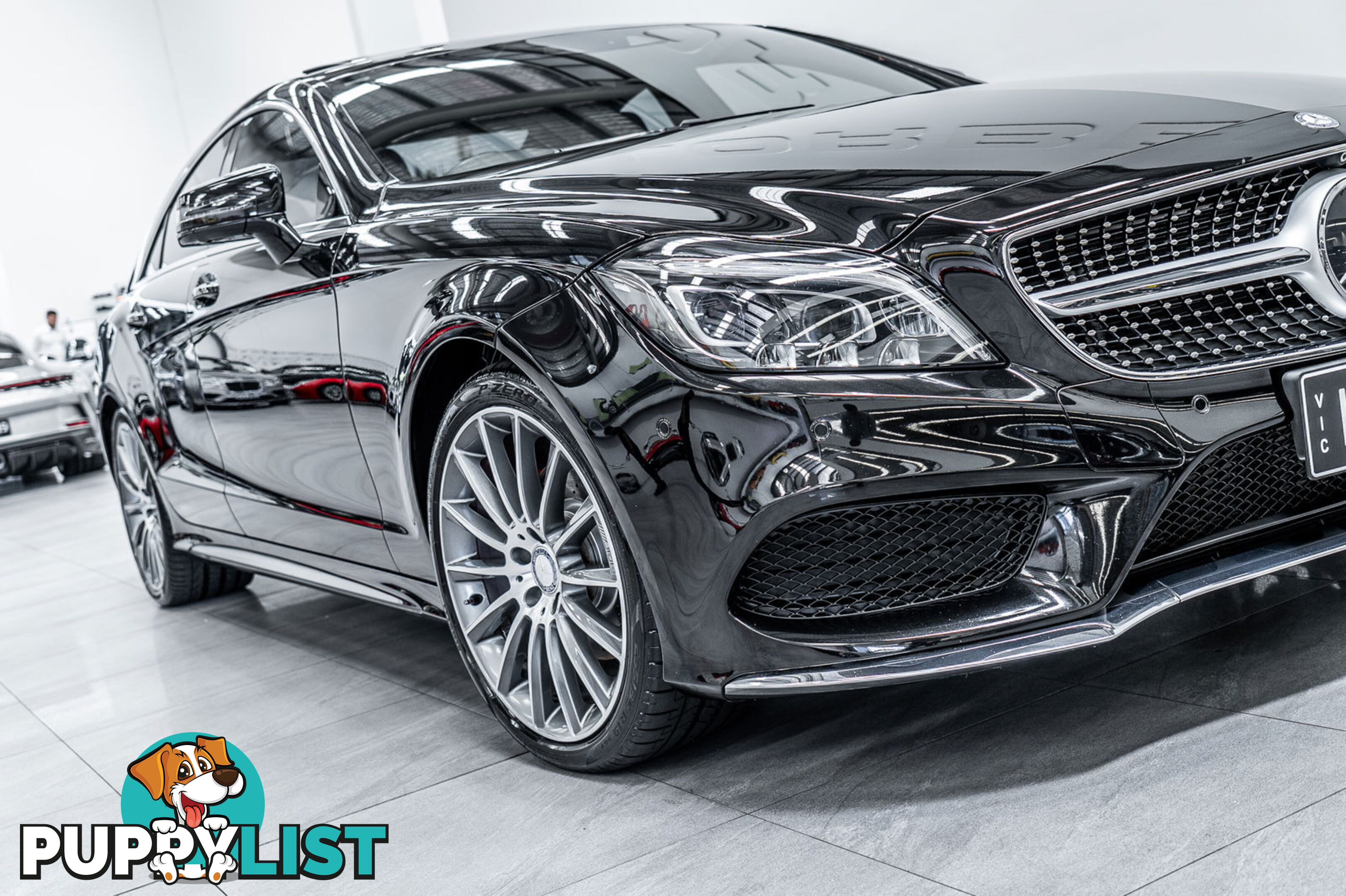 2015 Mercedes-Benz CLS250D  218