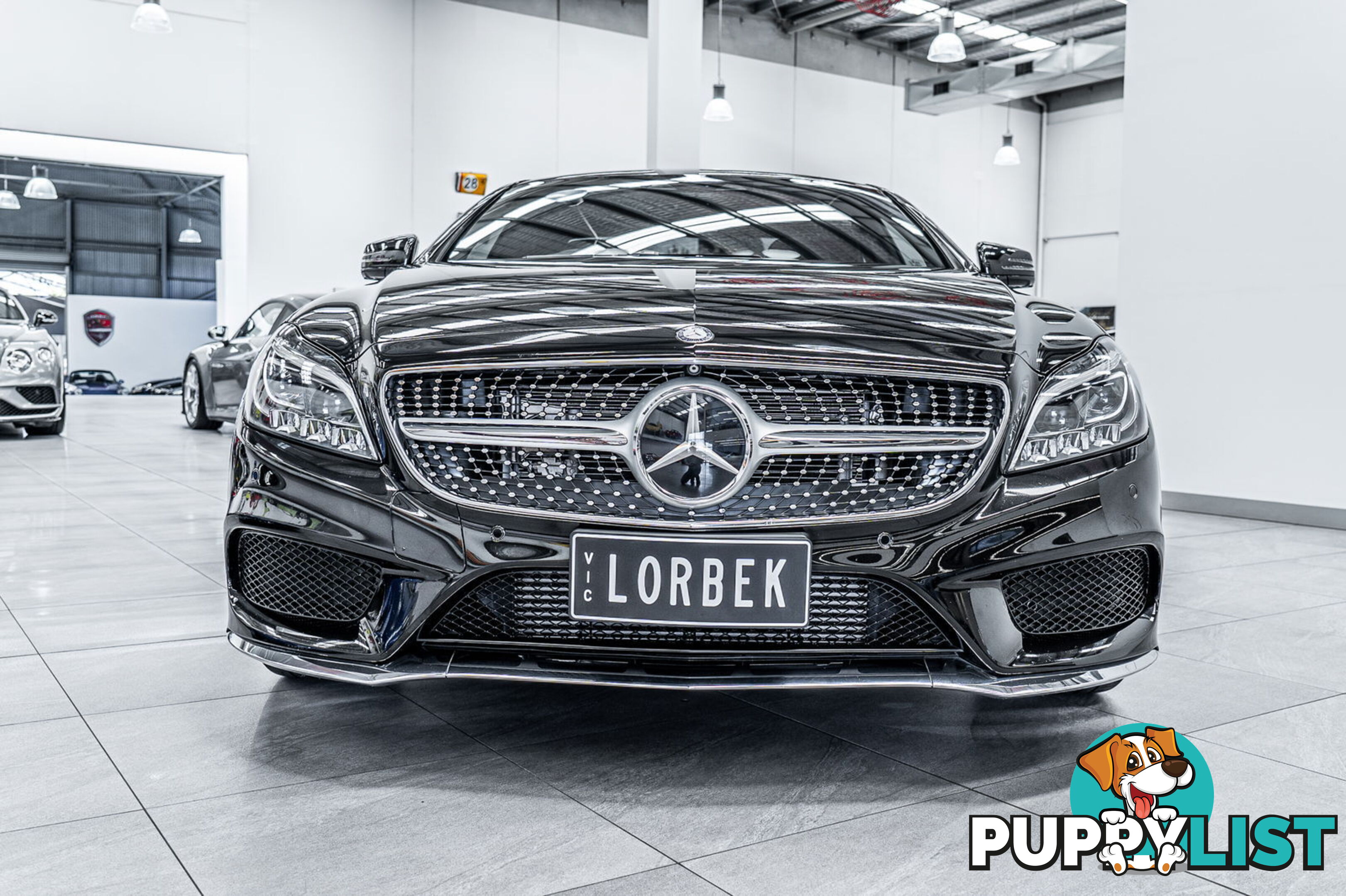 2015 Mercedes-Benz CLS250D  218