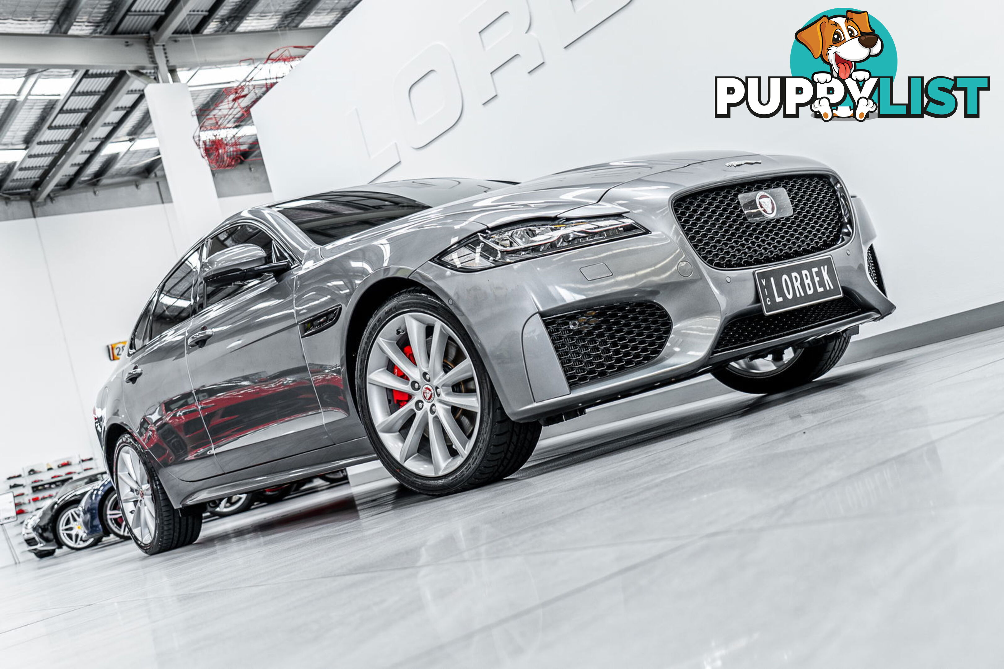 2019 Jaguar XF 30t Chequered Flag (221kW) X260 MY20