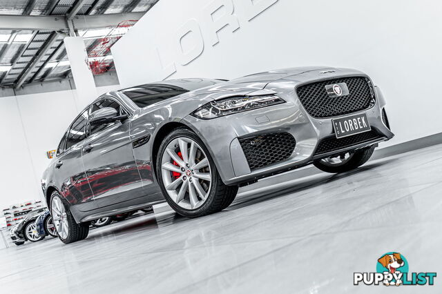 2019 Jaguar XF 30t Chequered Flag (221kW) X260 MY20