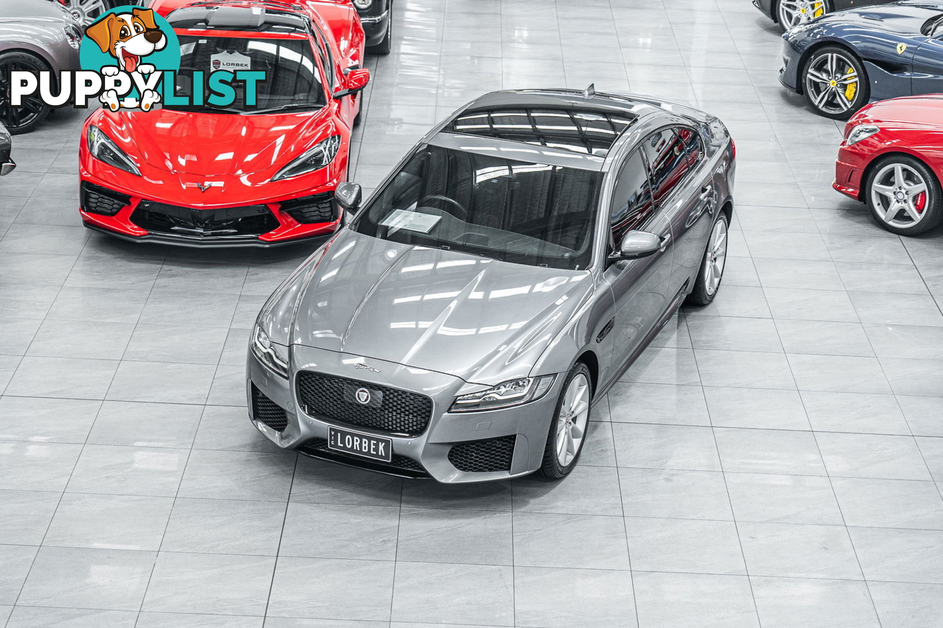 2019 Jaguar XF 30t Chequered Flag (221kW) X260 MY20