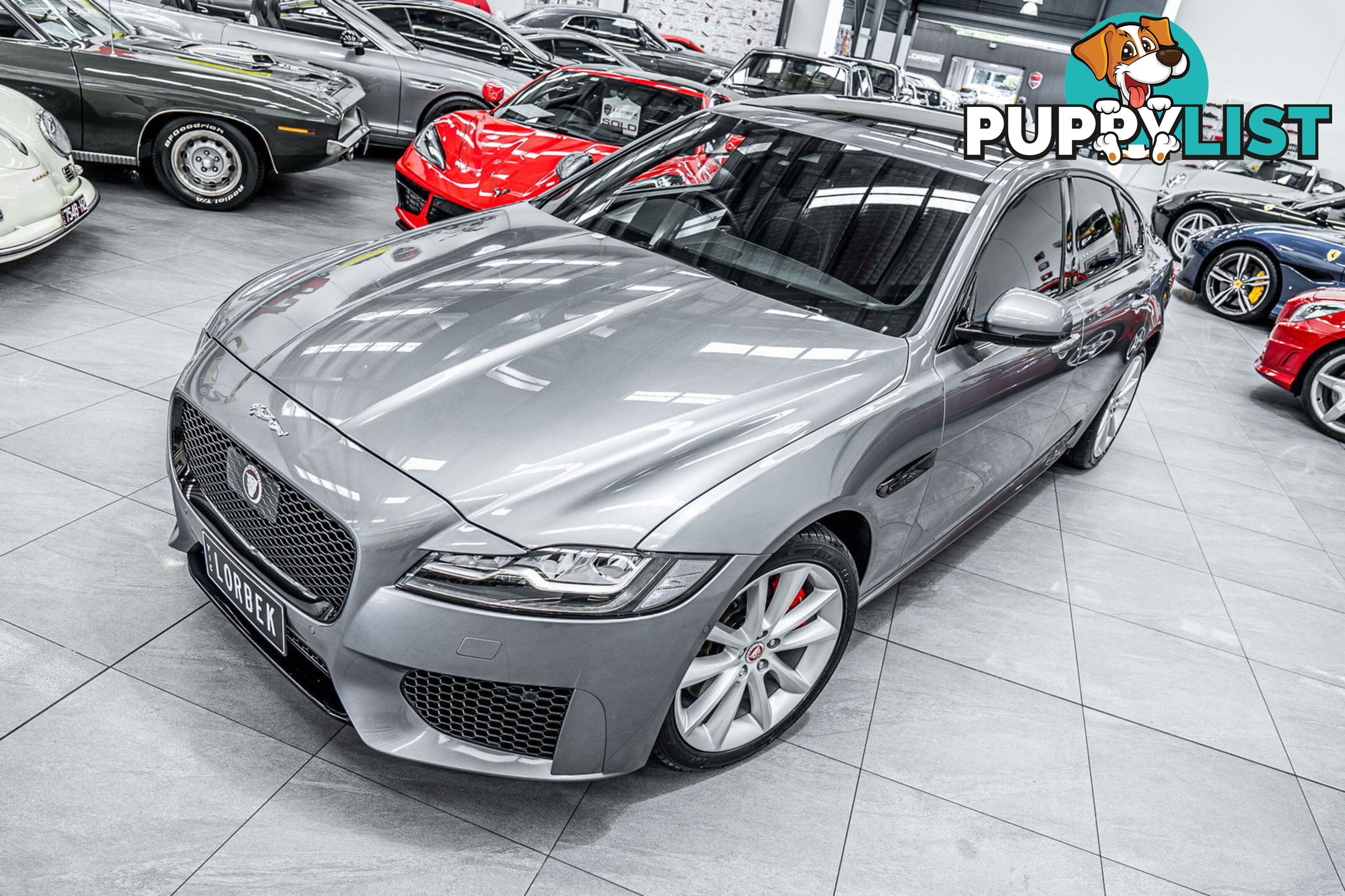 2019 Jaguar XF 30t Chequered Flag (221kW) X260 MY20