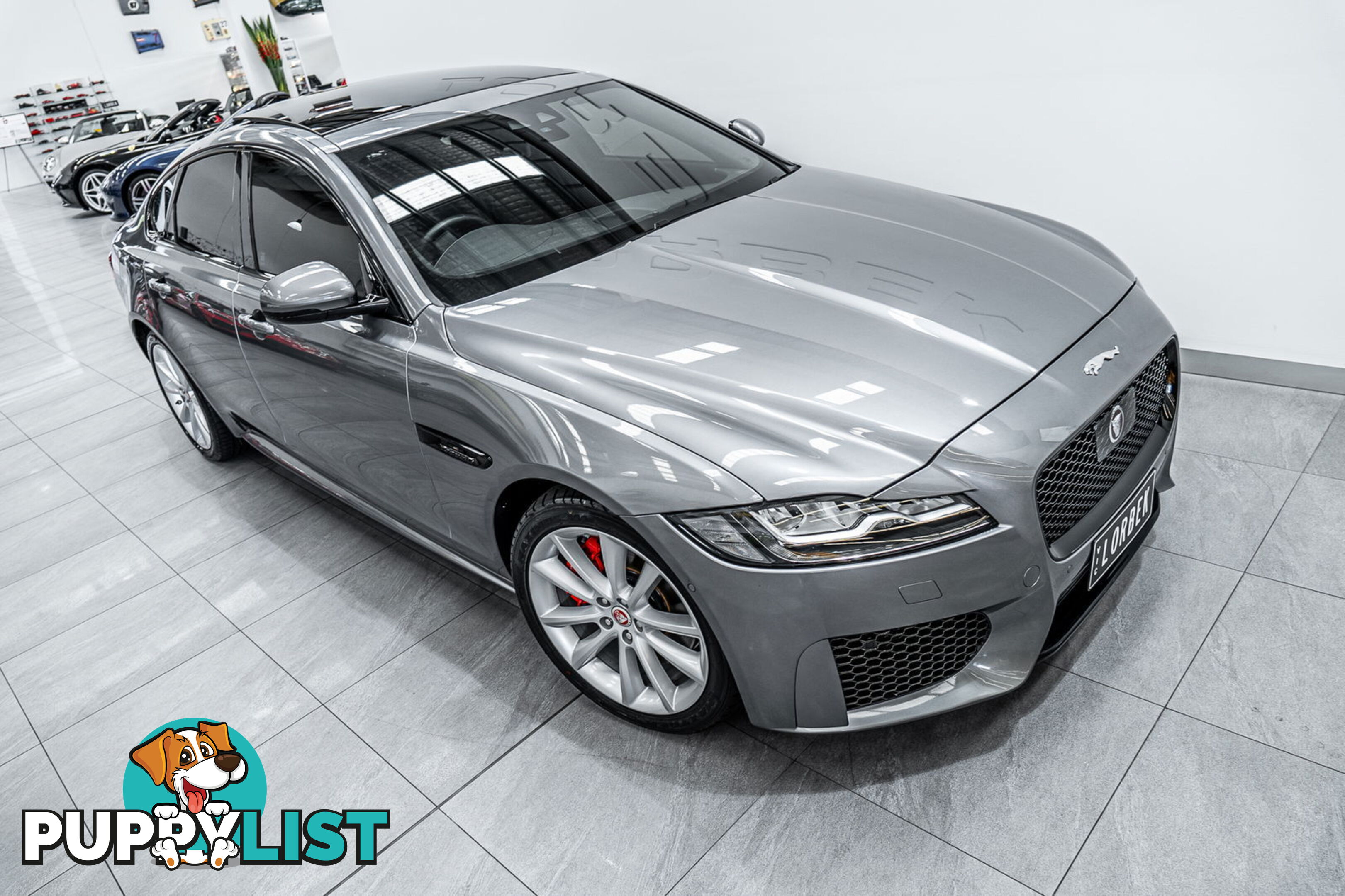 2019 Jaguar XF 30t Chequered Flag (221kW) X260 MY20