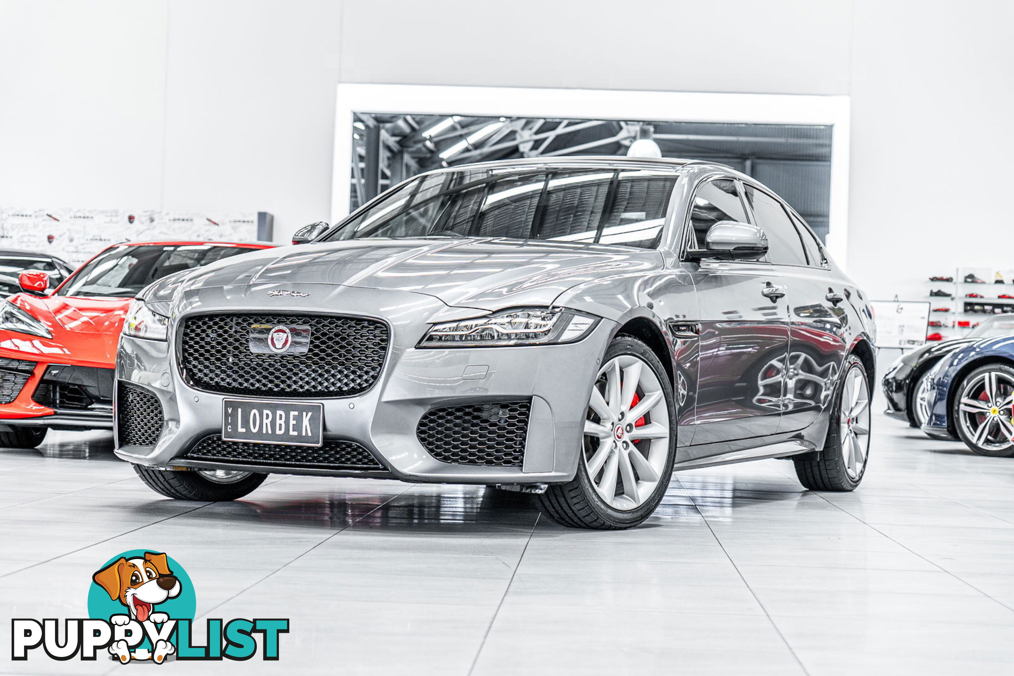 2019 Jaguar XF 30t Chequered Flag (221kW) X260 MY20