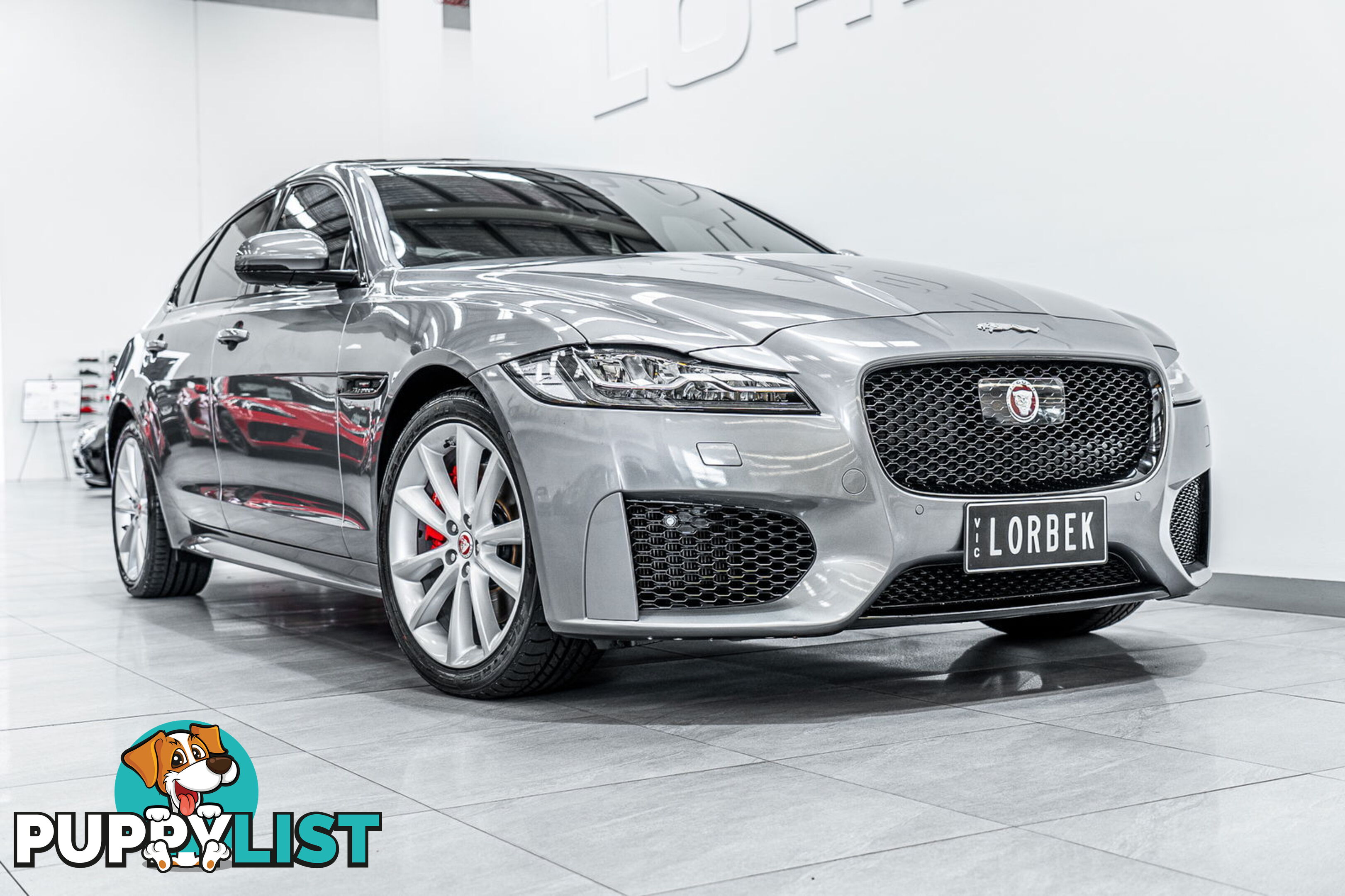 2019 Jaguar XF 30t Chequered Flag (221kW) X260 MY20