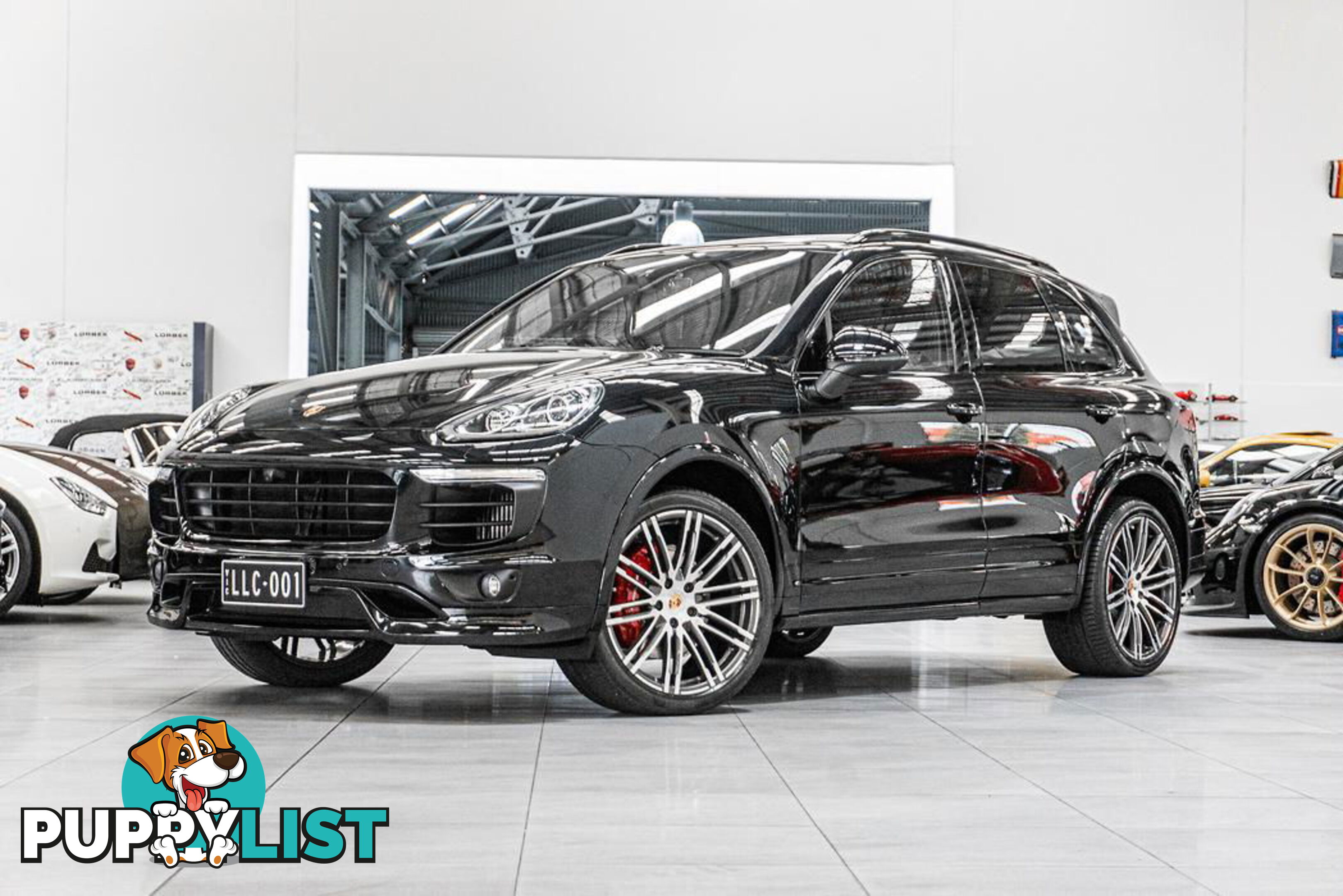 2017 Porsche Cayenne S Platinum Edition 92A MY15