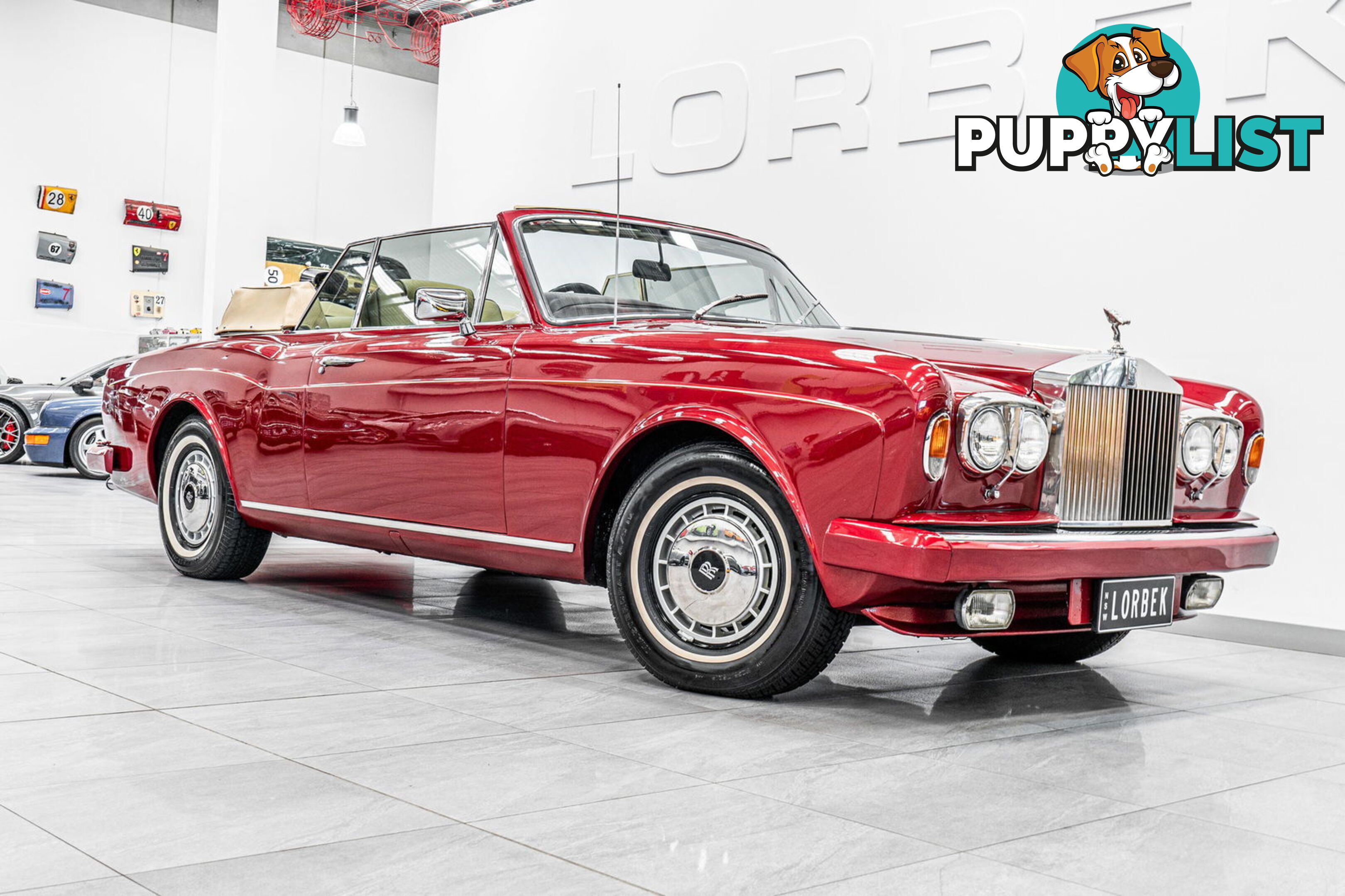 1981 Rolls-Royce Corniche  II