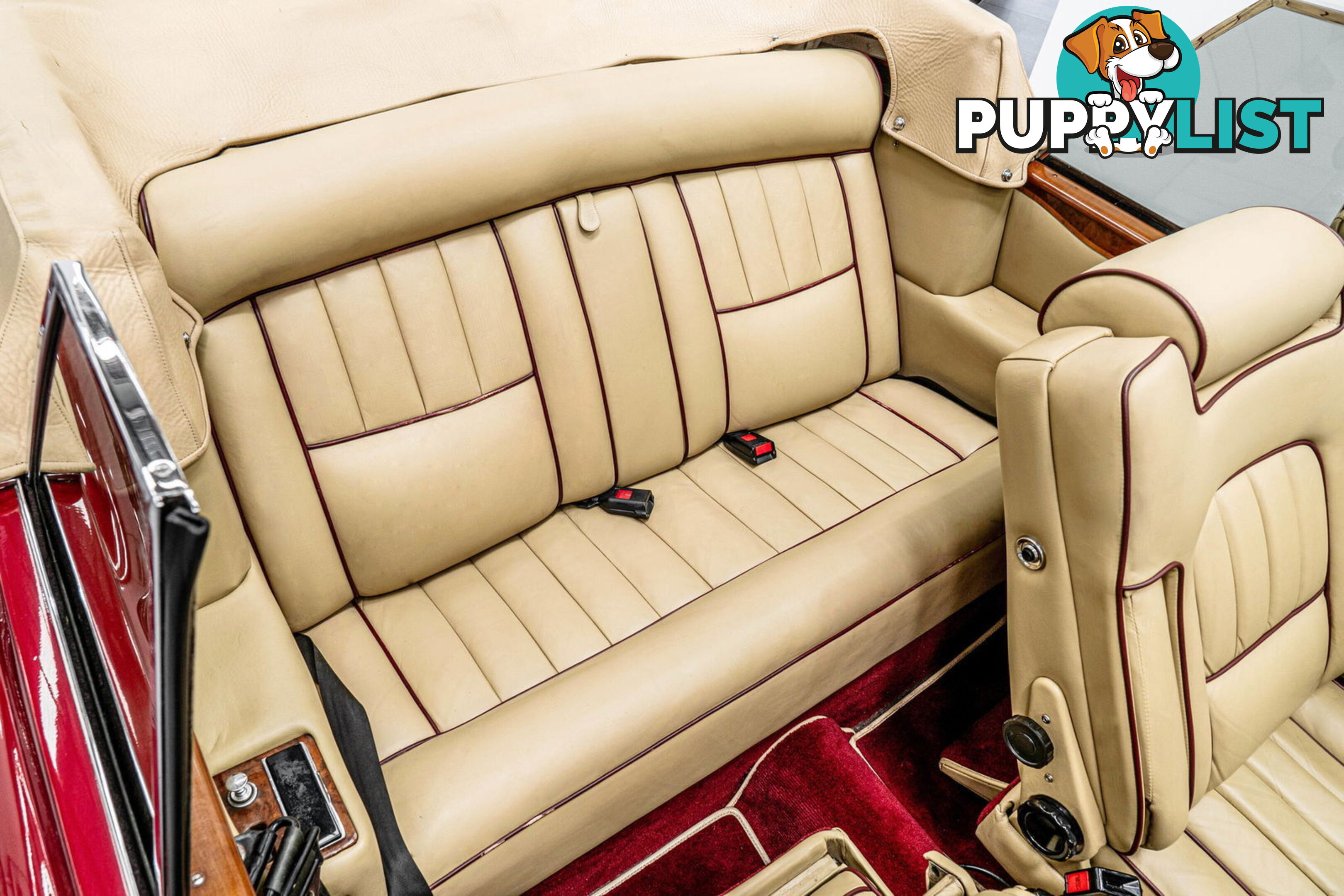 1981 Rolls-Royce Corniche  II