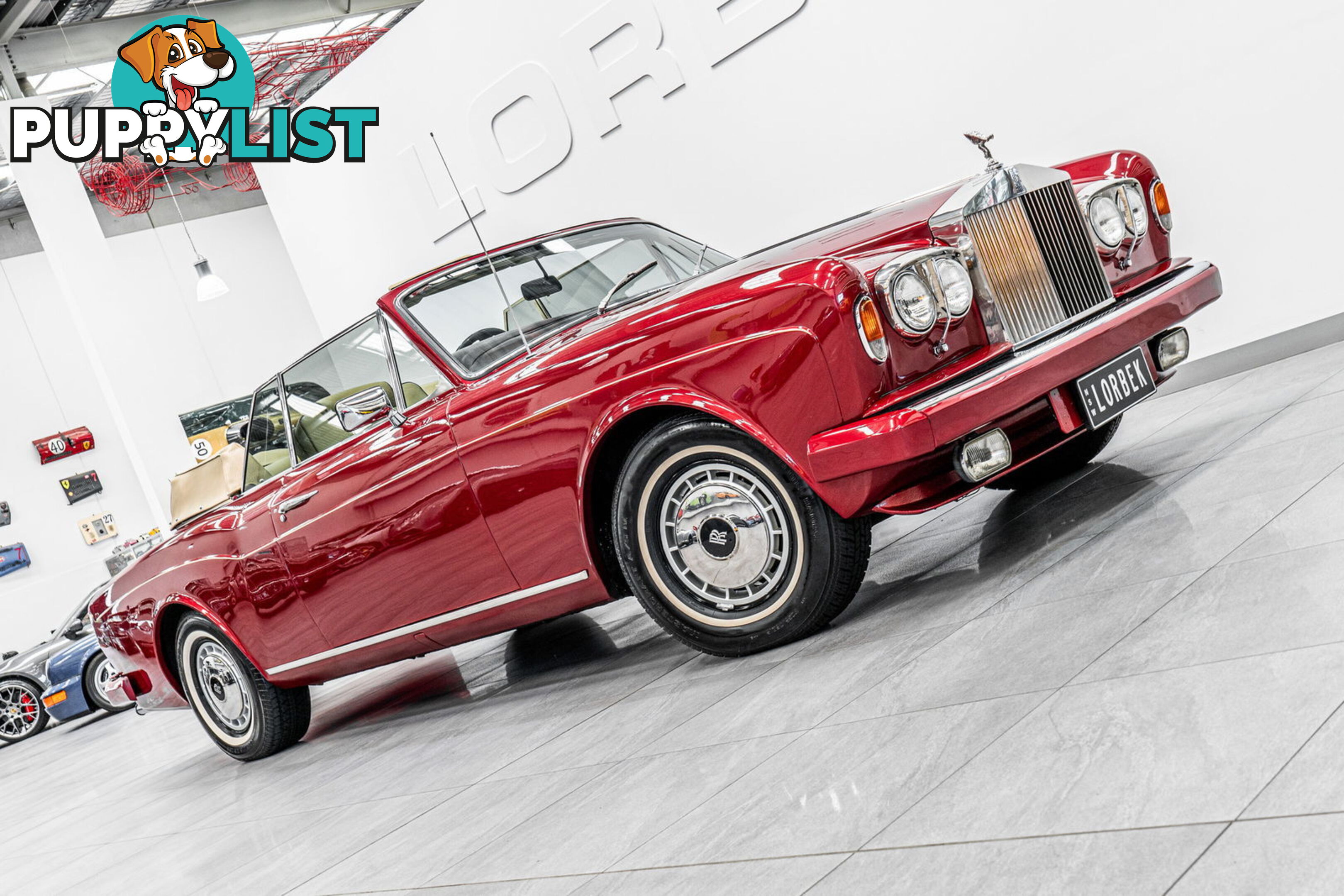 1981 Rolls-Royce Corniche  II