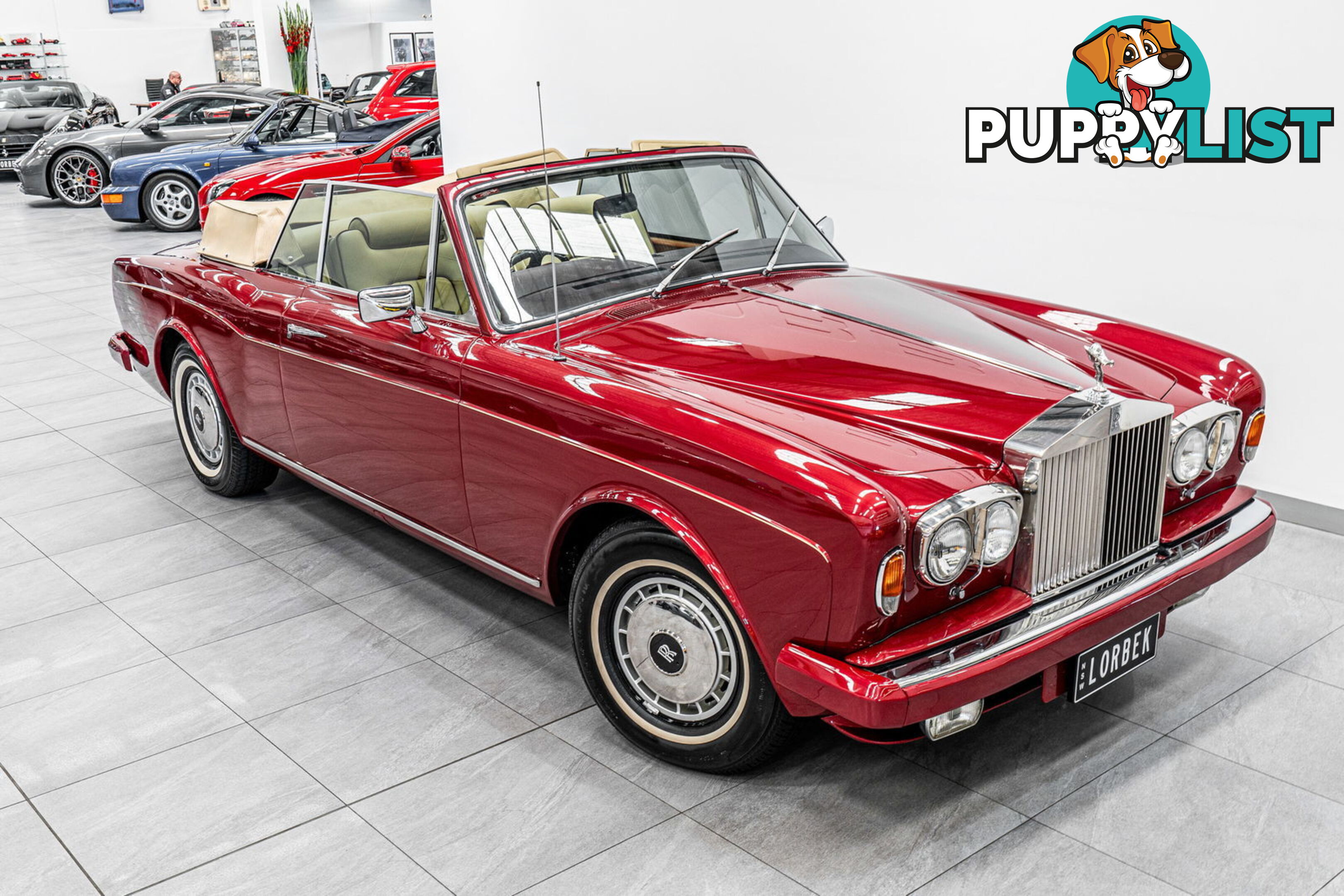 1981 Rolls-Royce Corniche  II