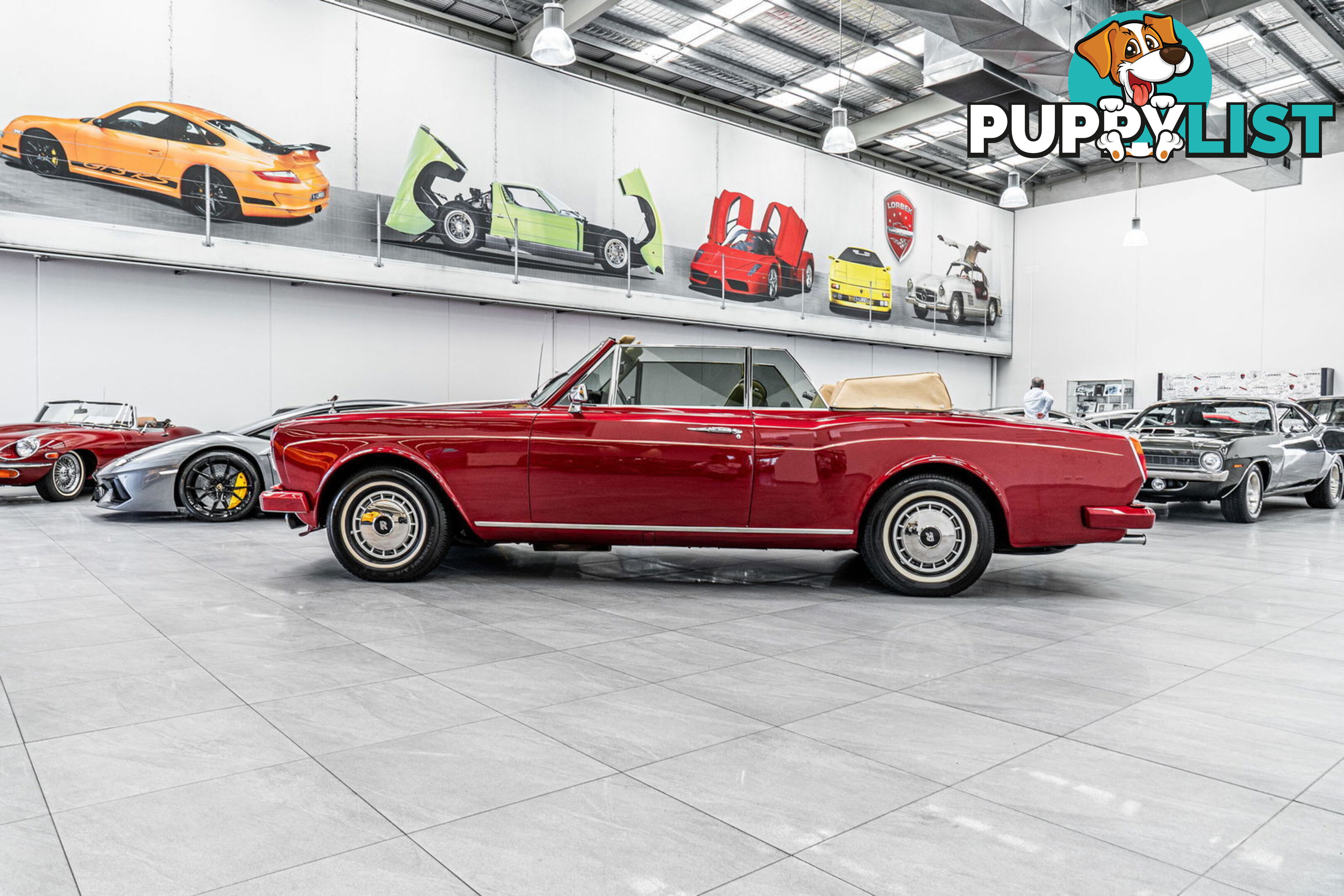 1981 Rolls-Royce Corniche  II