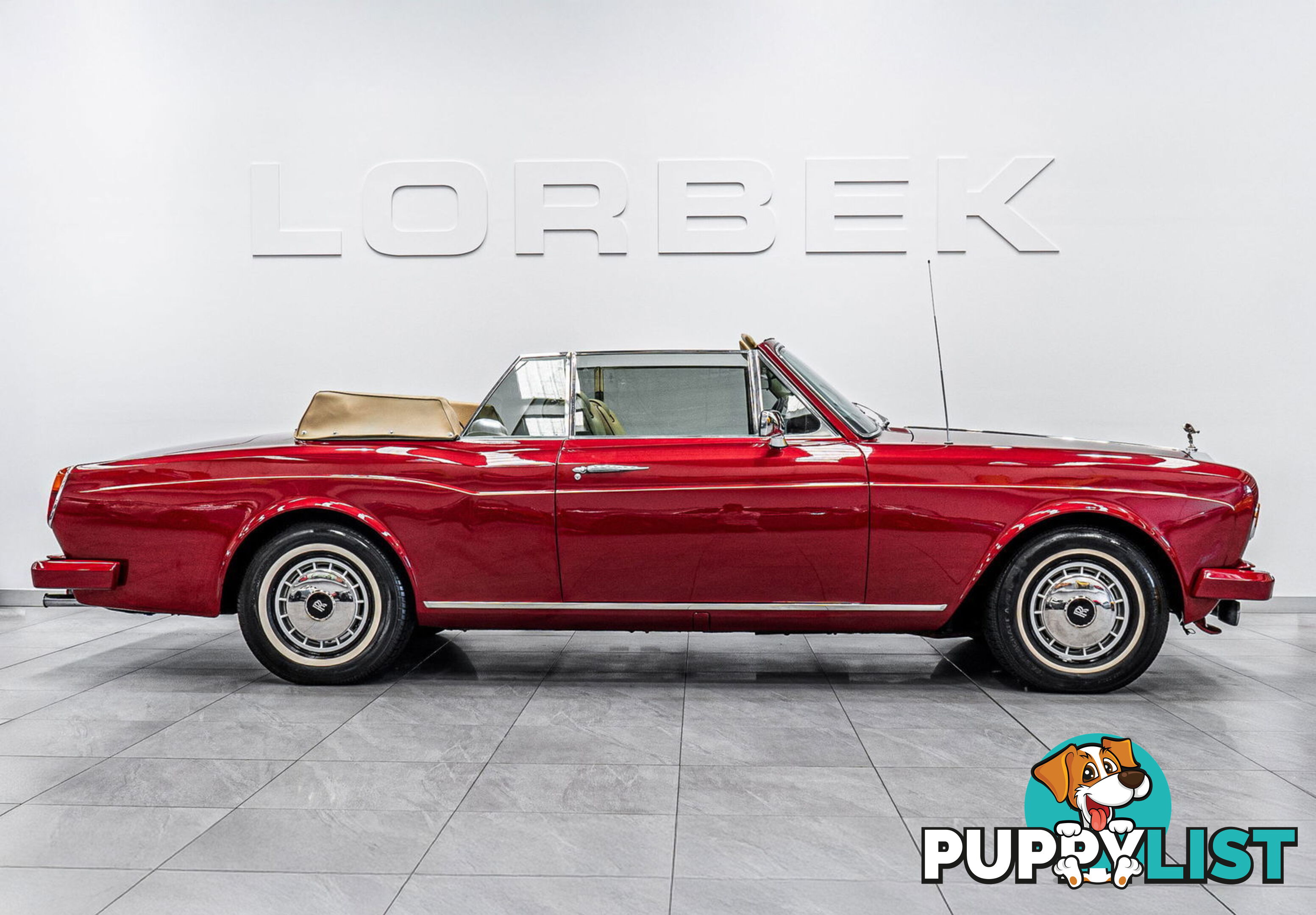 1981 Rolls-Royce Corniche  II