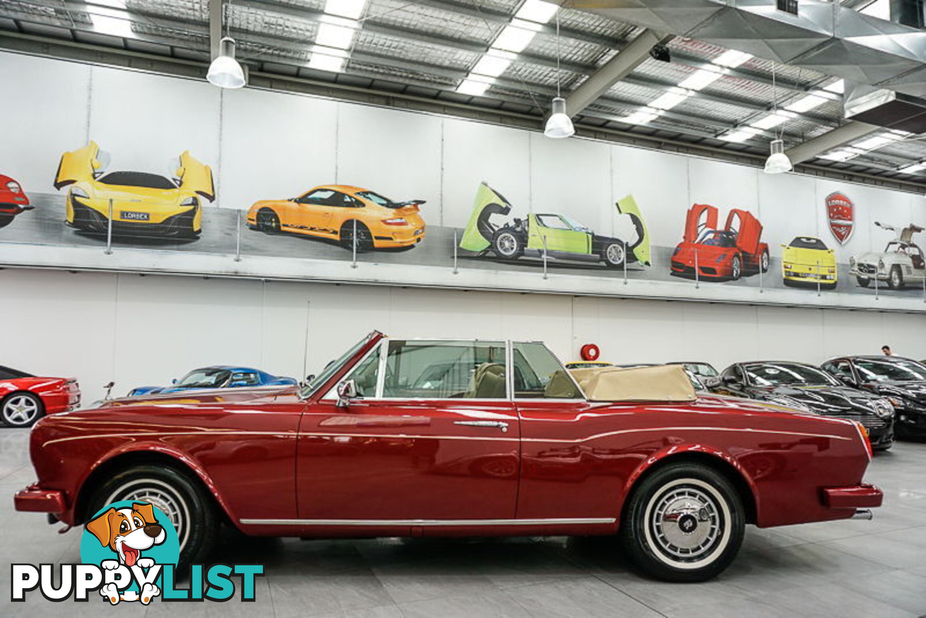 1981 Rolls-Royce Corniche  II