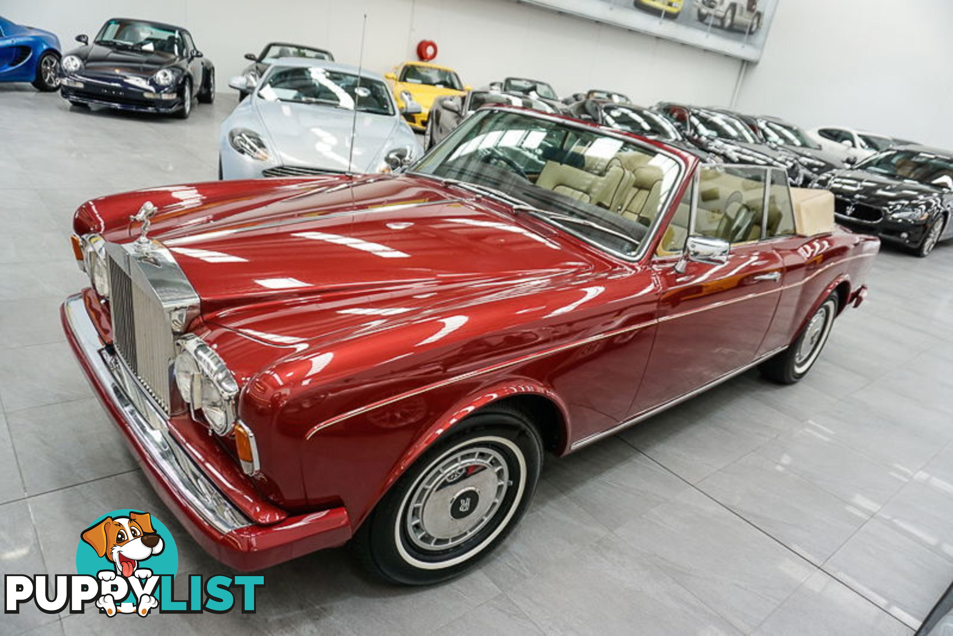 1981 Rolls-Royce Corniche  II