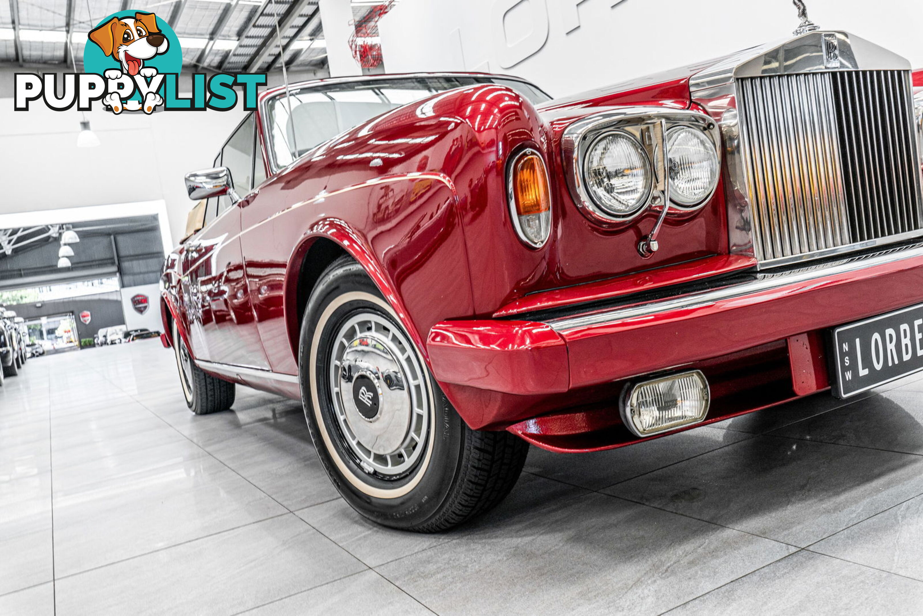 1981 Rolls-Royce Corniche  II