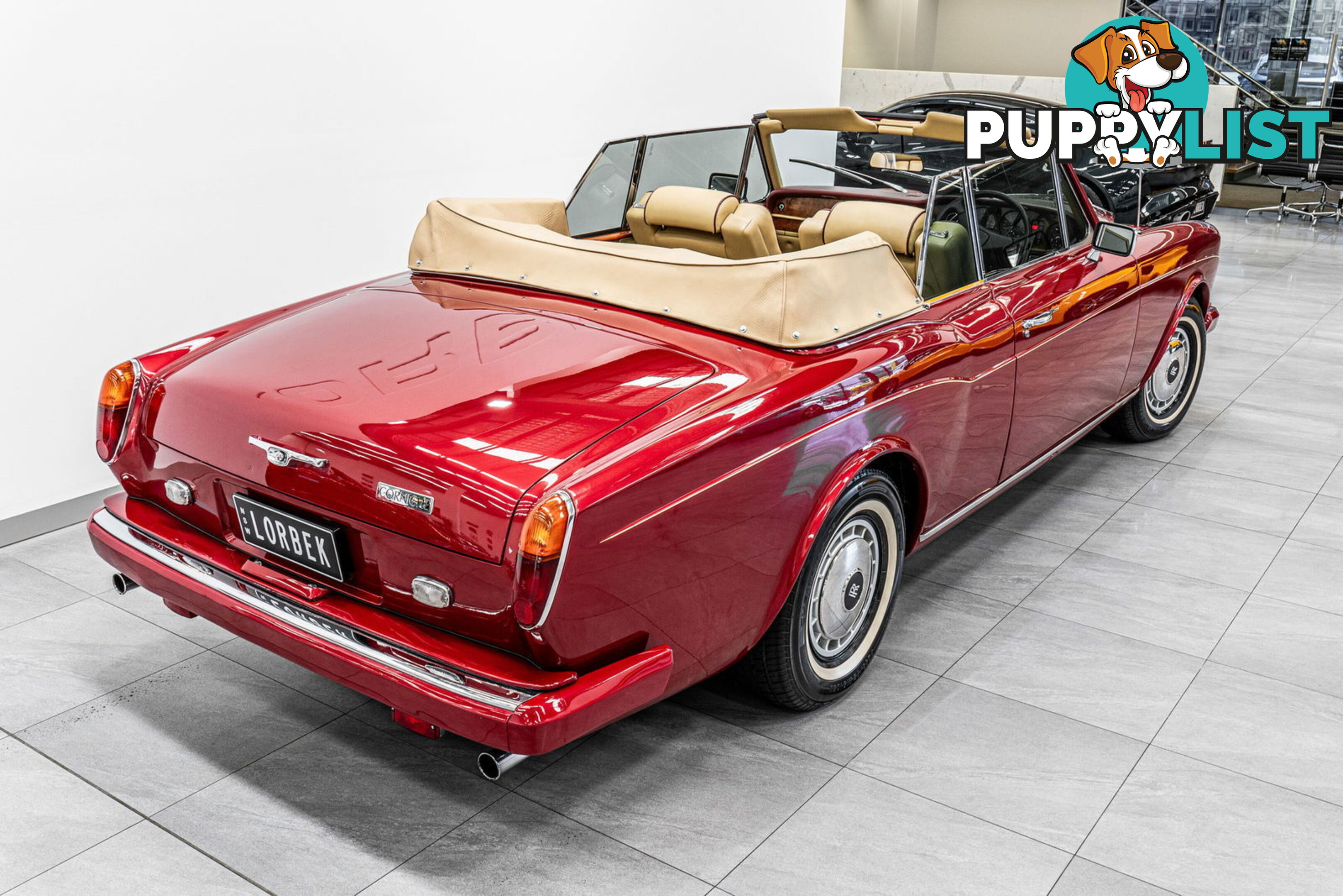 1981 Rolls-Royce Corniche  II