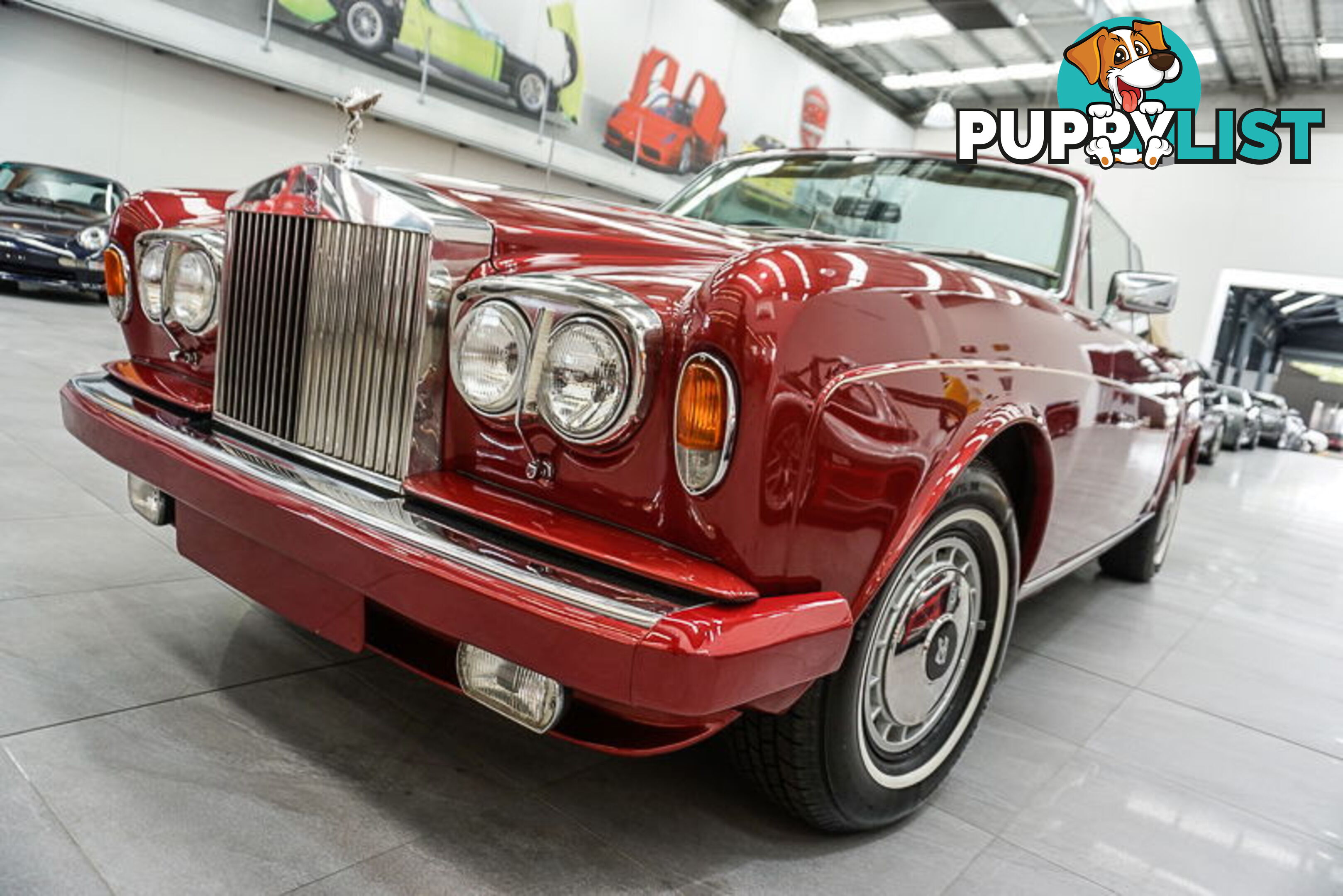 1981 Rolls-Royce Corniche  II