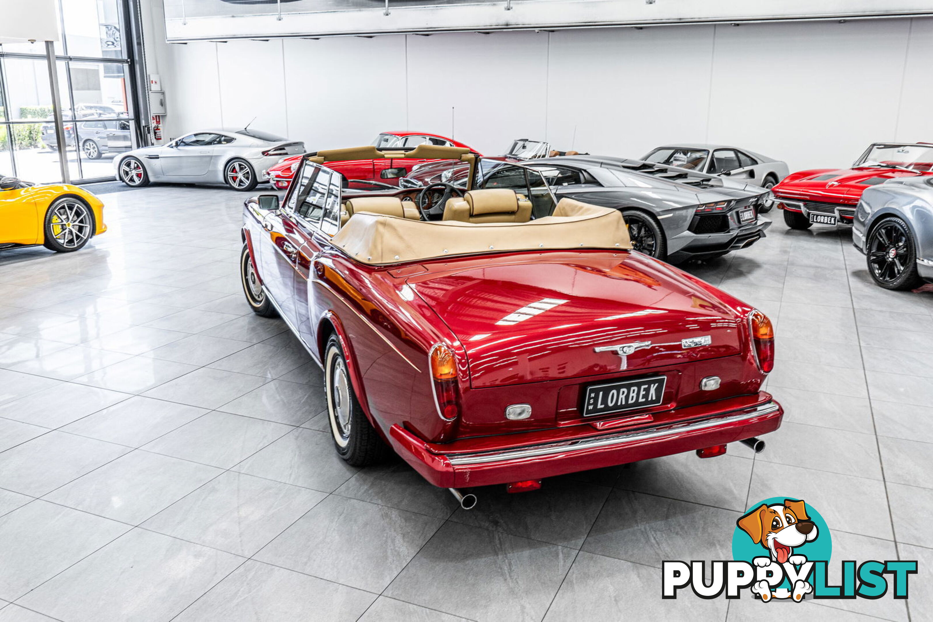 1981 Rolls-Royce Corniche  II