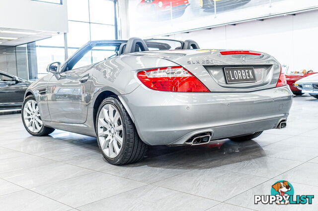 2013 Mercedes-Benz SLK200  R172