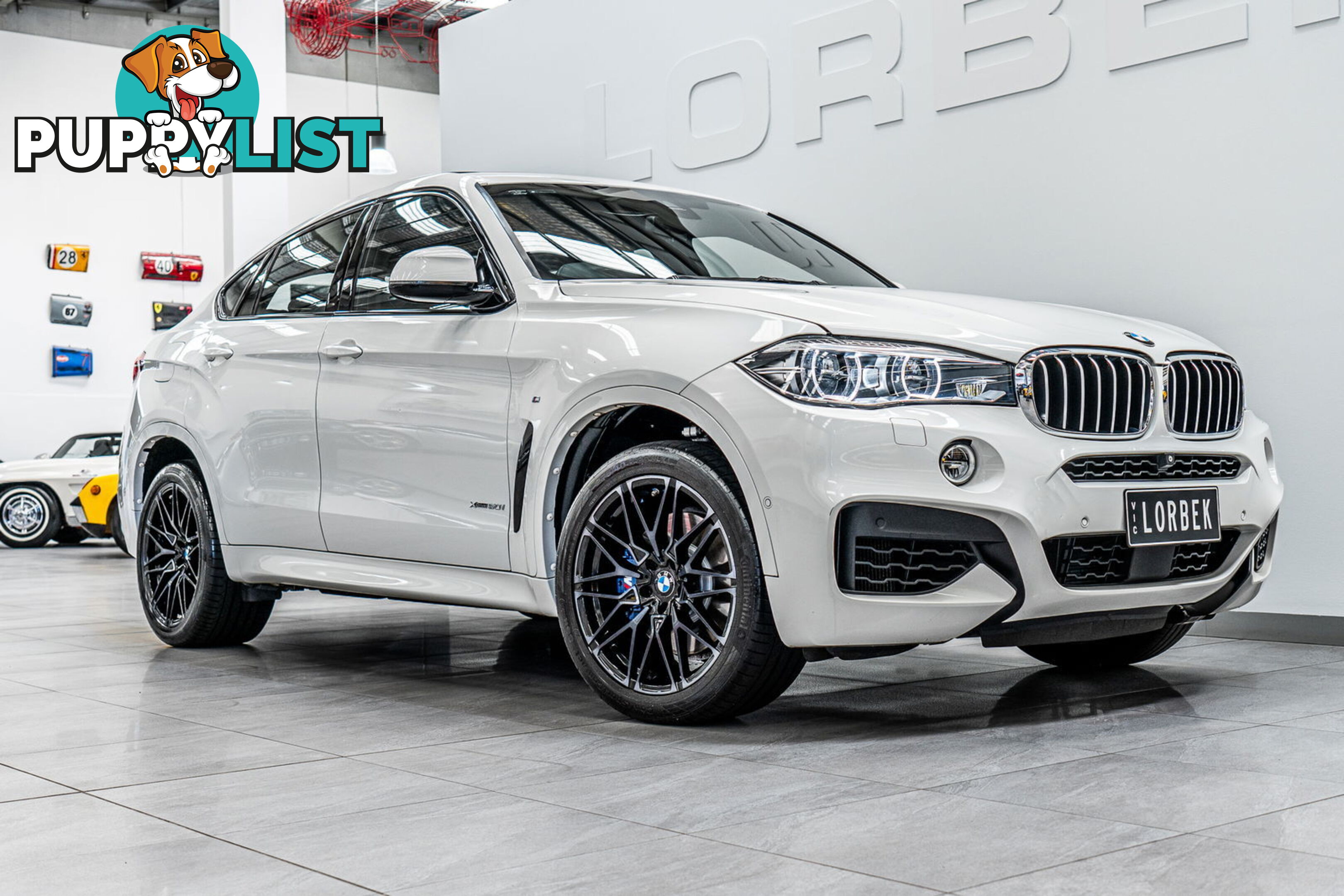 2017 BMW X6 xDrive 50I F16