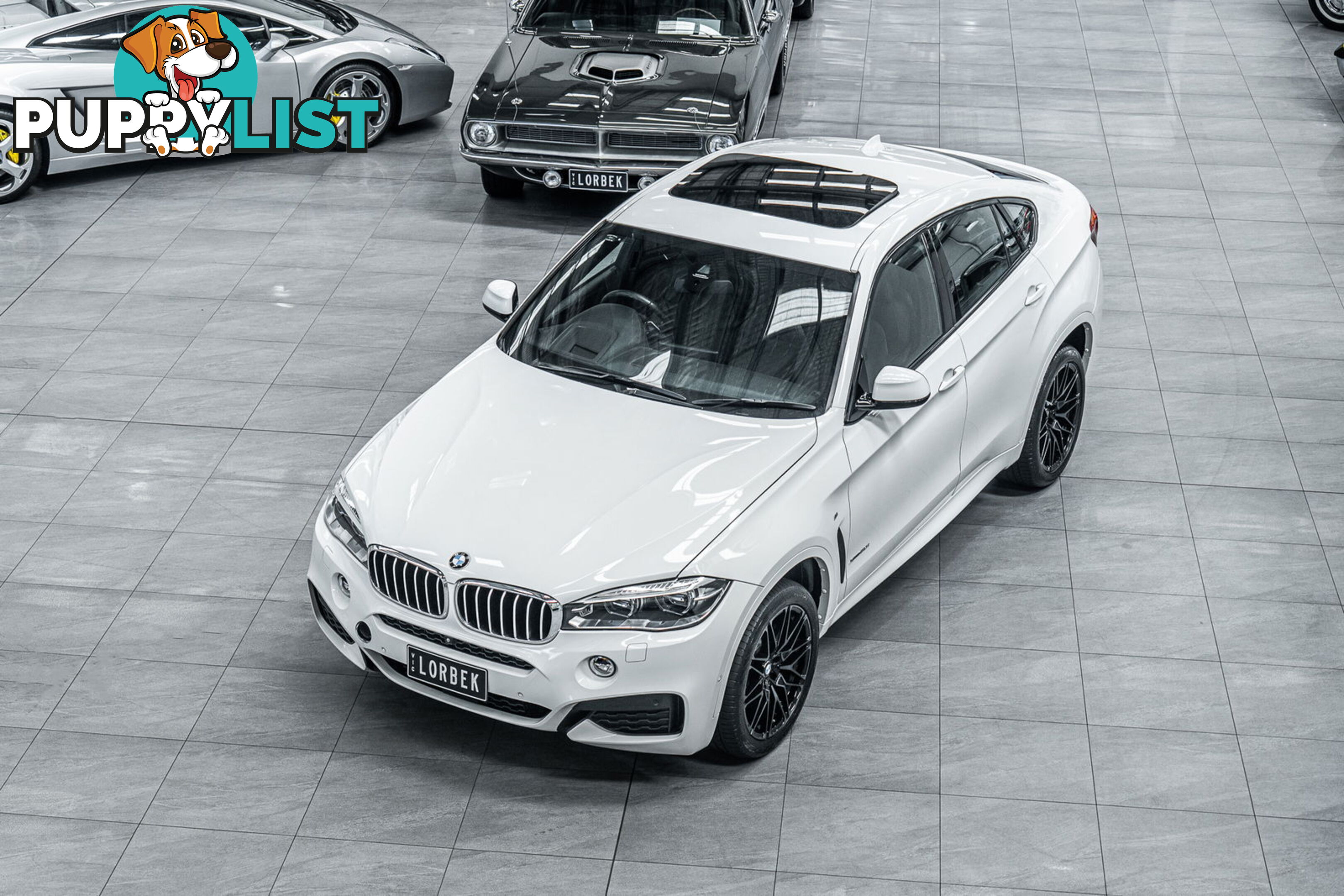 2017 BMW X6 xDrive 50I F16