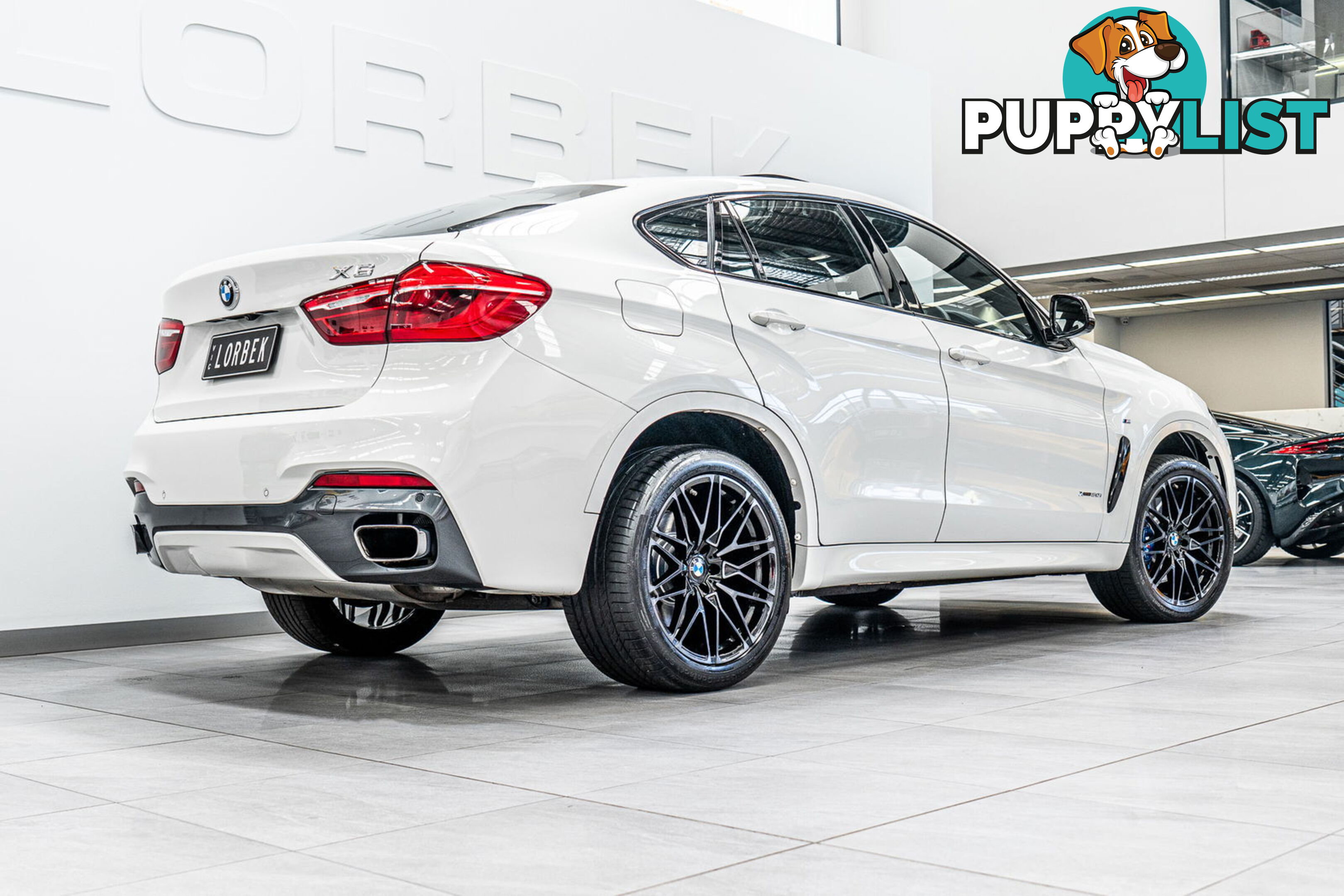 2017 BMW X6 xDrive 50I F16