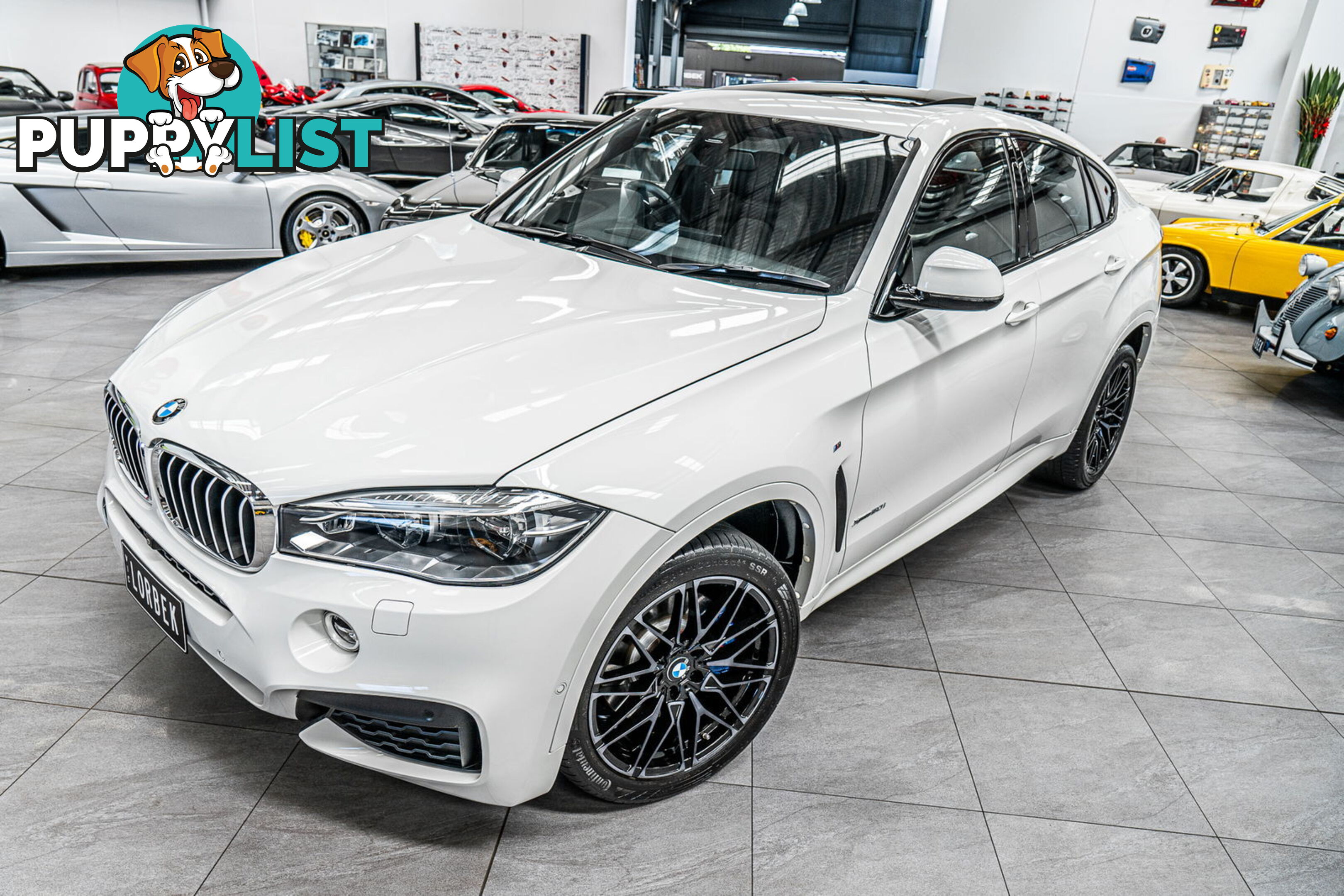 2017 BMW X6 xDrive 50I F16