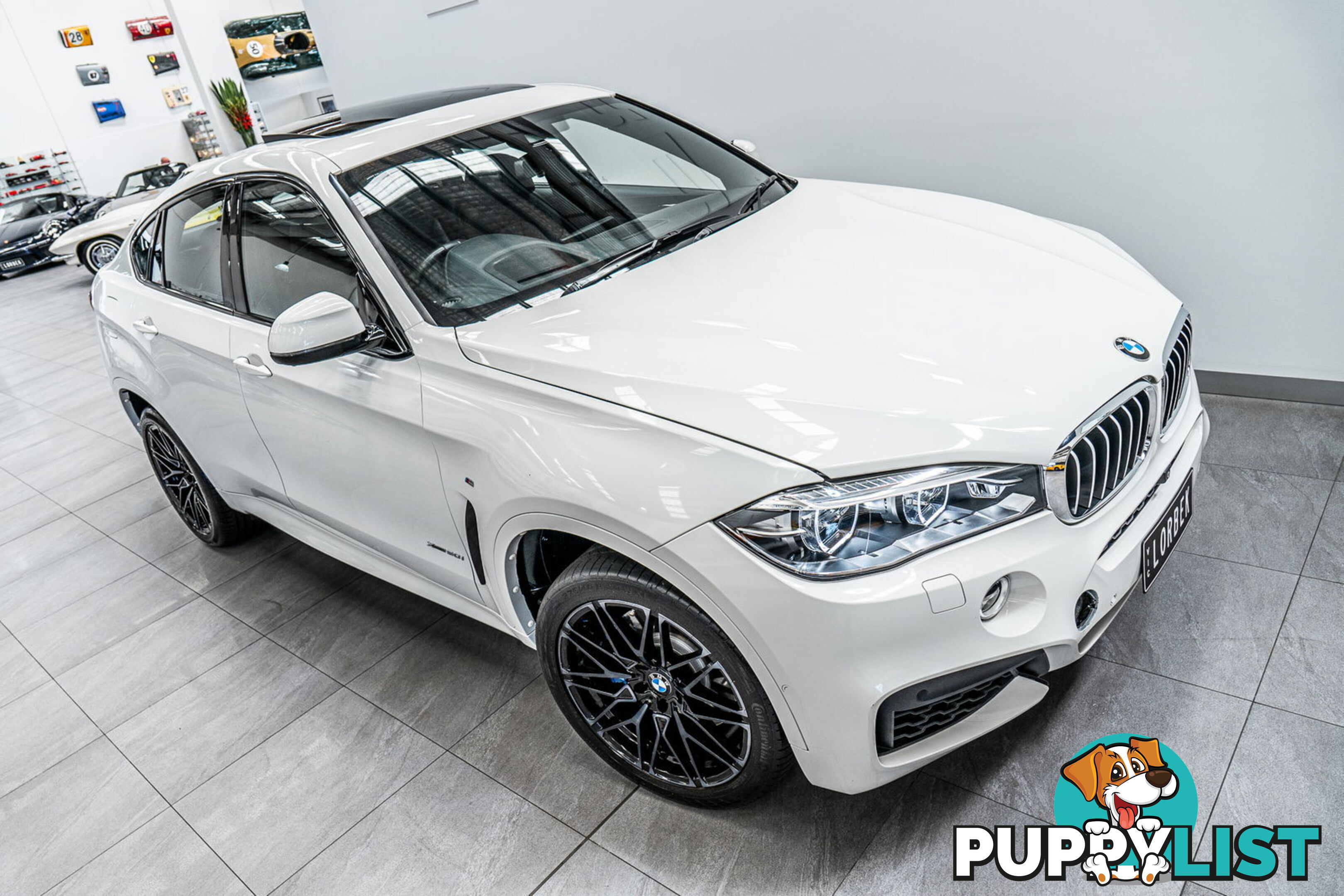 2017 BMW X6 xDrive 50I F16