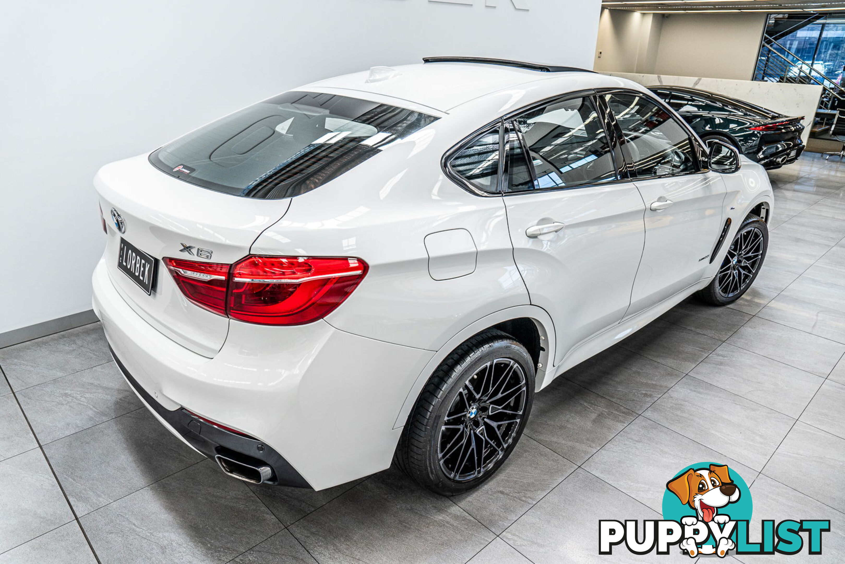 2017 BMW X6 xDrive 50I F16