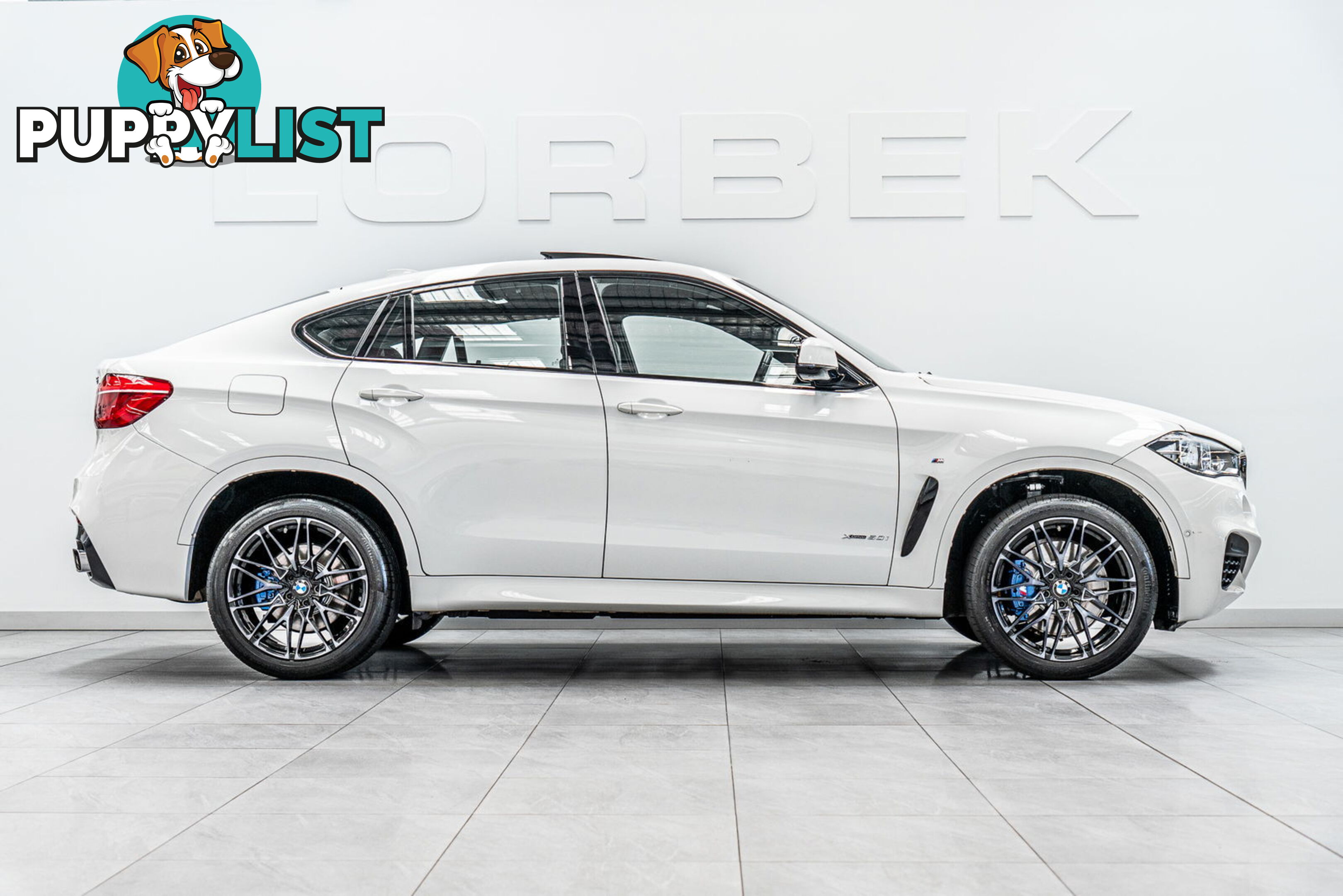 2017 BMW X6 xDrive 50I F16