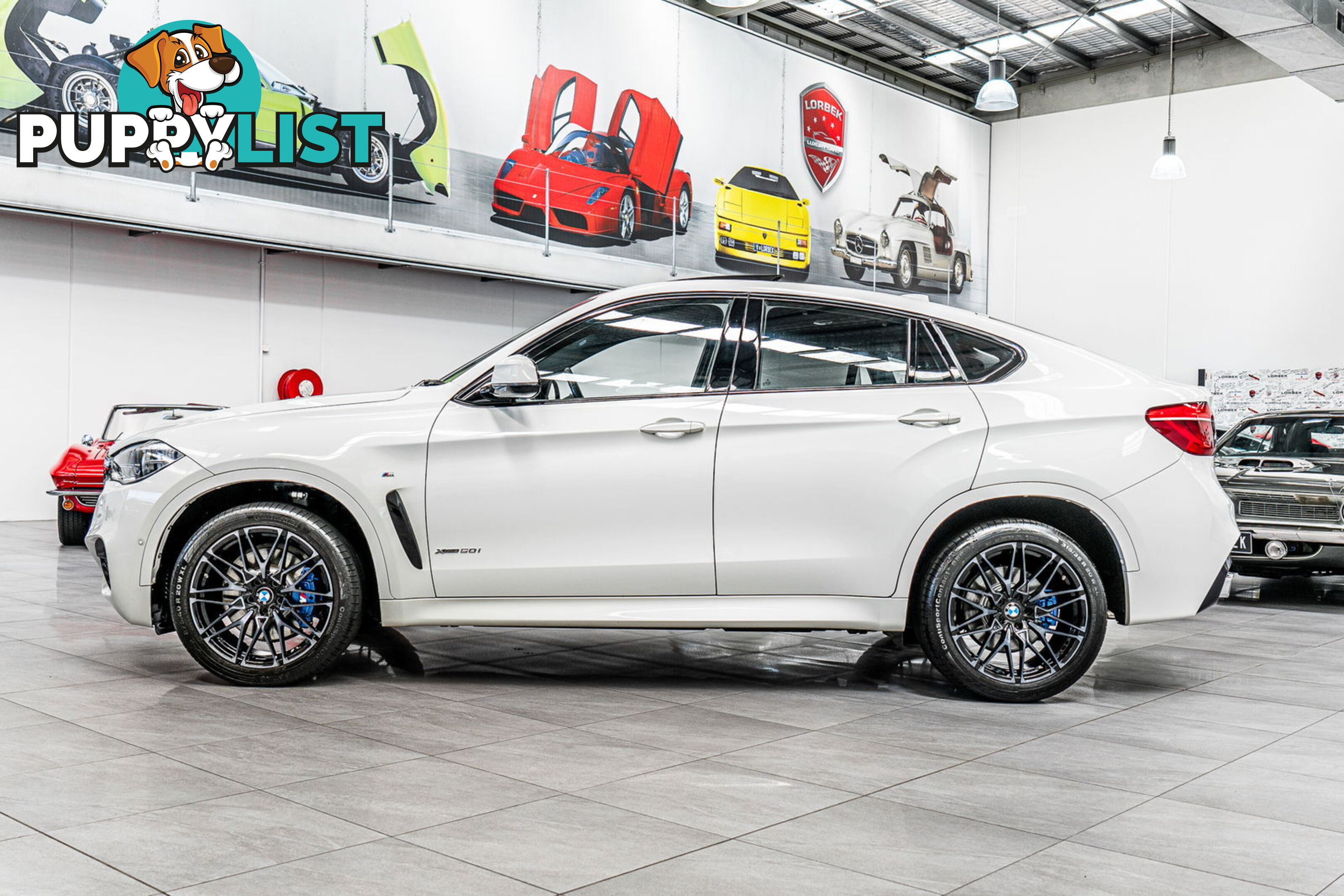 2017 BMW X6 xDrive 50I F16