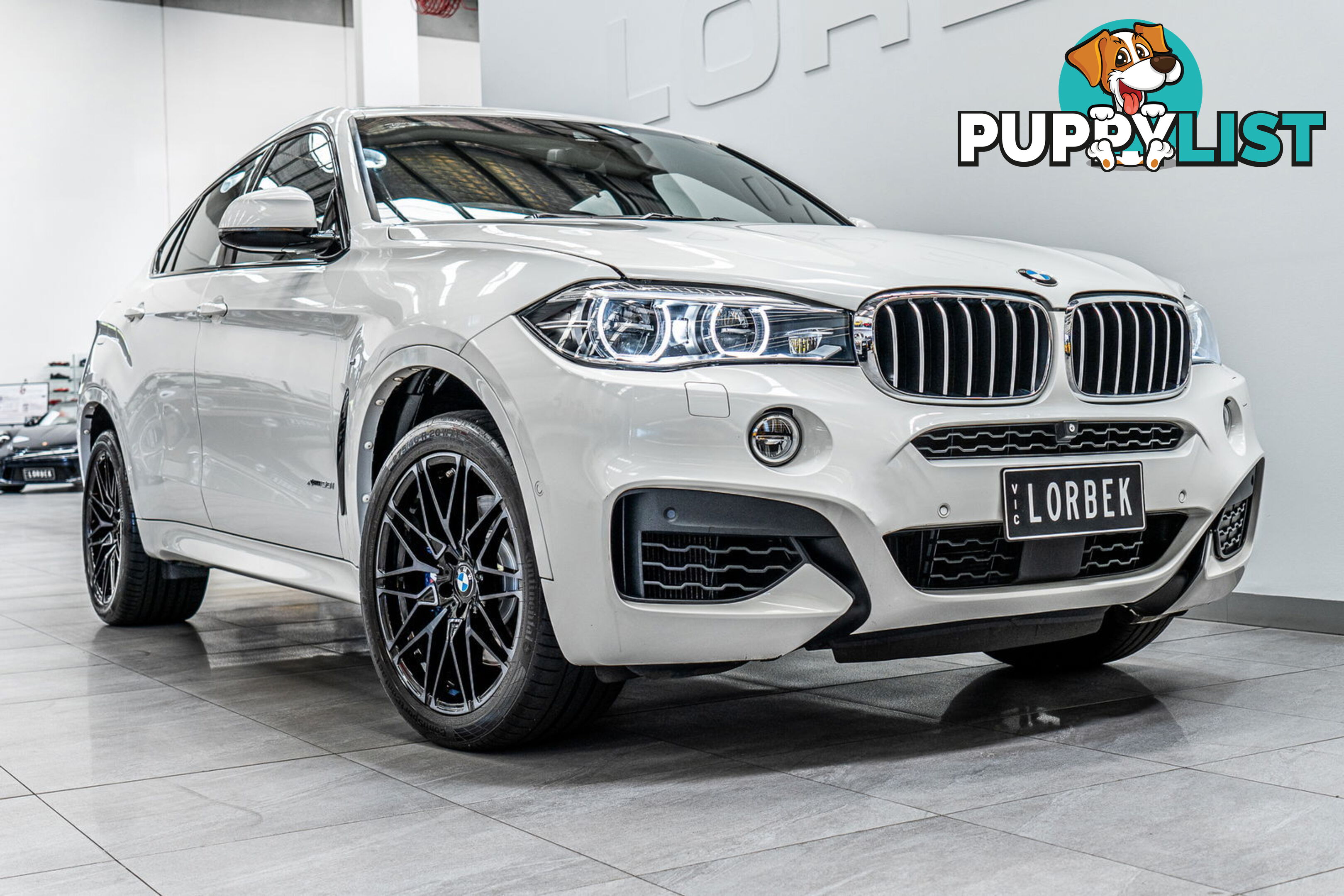 2017 BMW X6 xDrive 50I F16