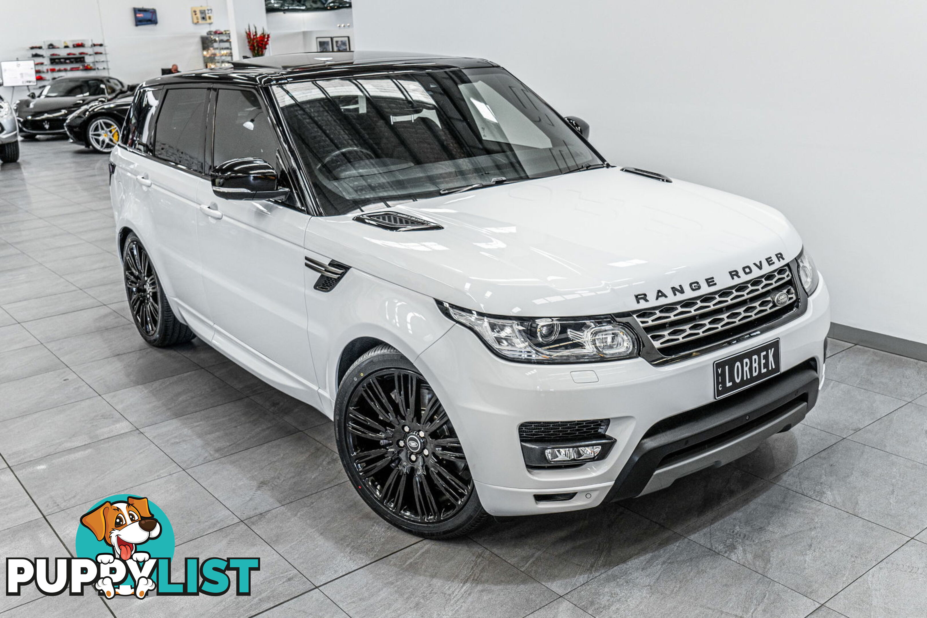 2017 Land Rover Range Rover Sport 3.0 SDV6 SE LW MY17