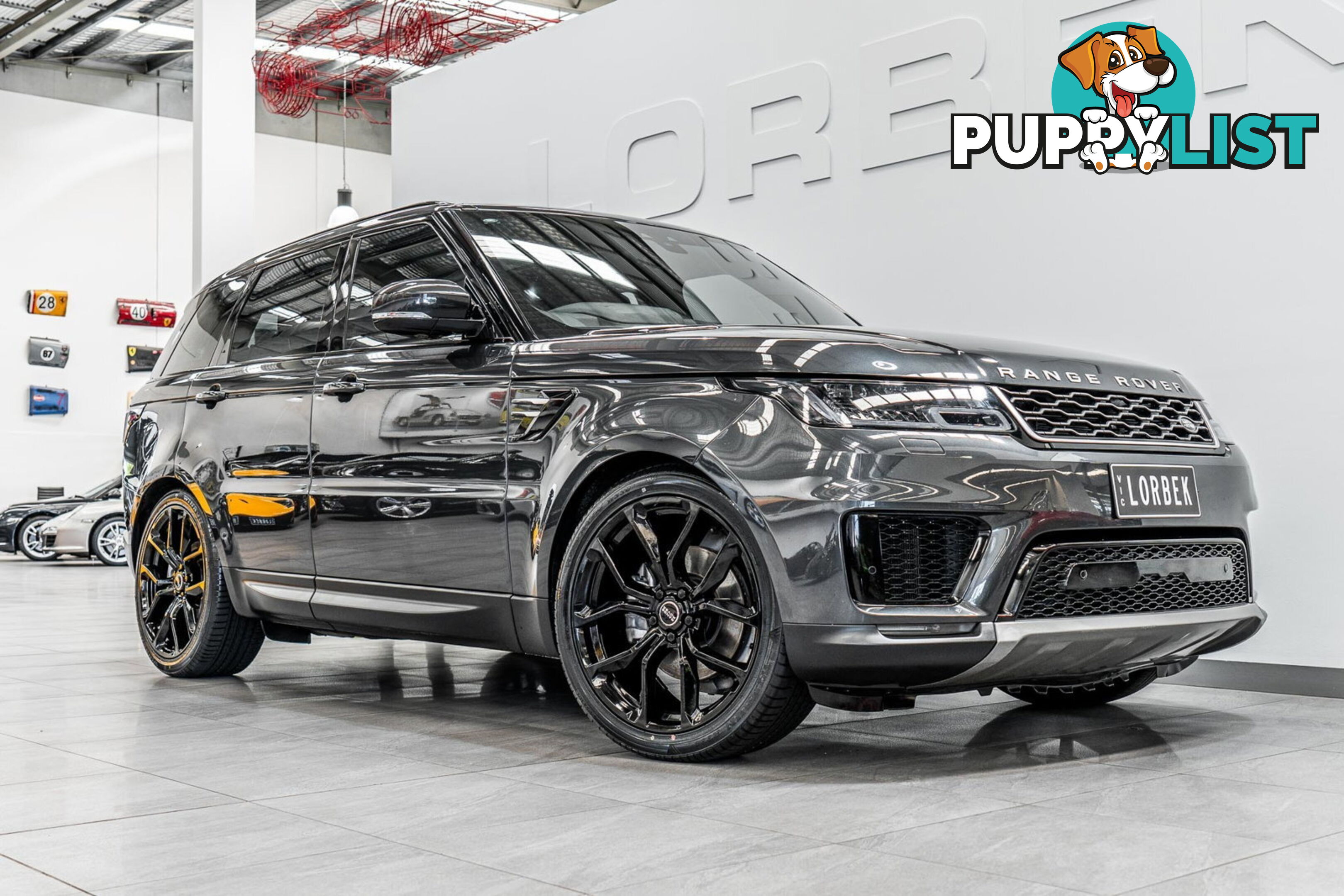 2019 Land Rover Range Rover Sport SDV6 SE (183kW) L494 MY19.5