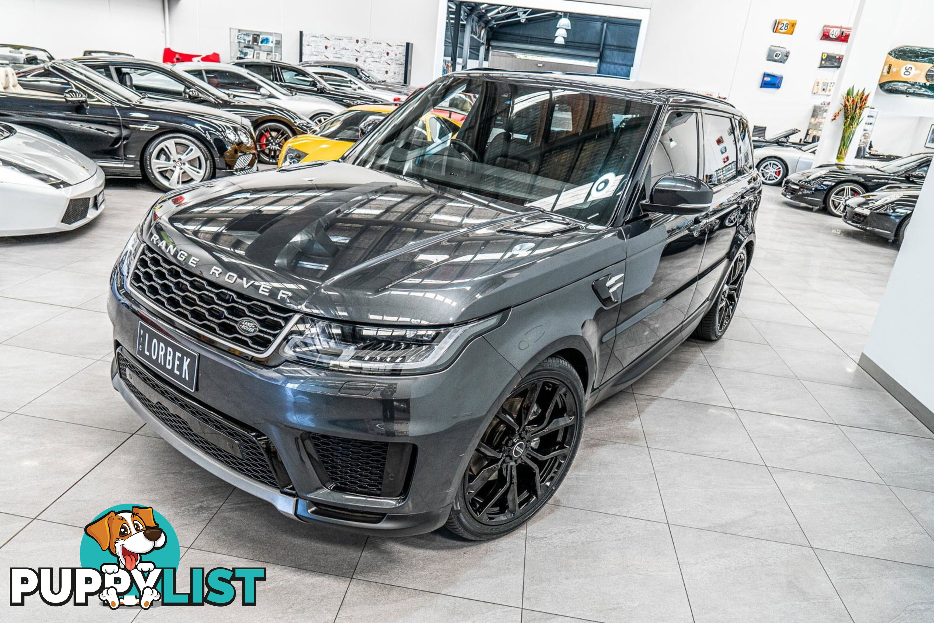 2019 Land Rover Range Rover Sport SDV6 SE (183kW) L494 MY19.5