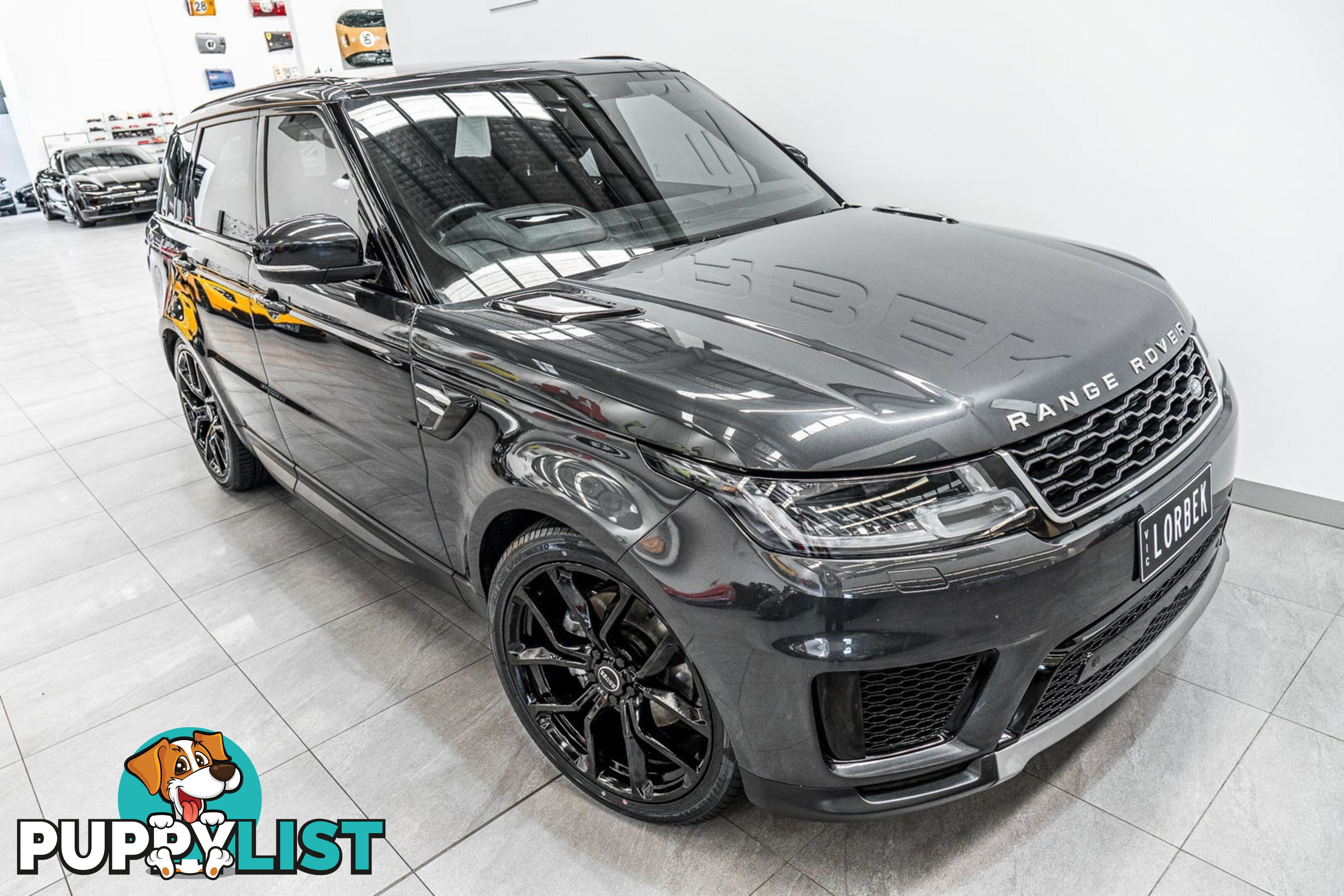 2019 Land Rover Range Rover Sport SDV6 SE (183kW) L494 MY19.5