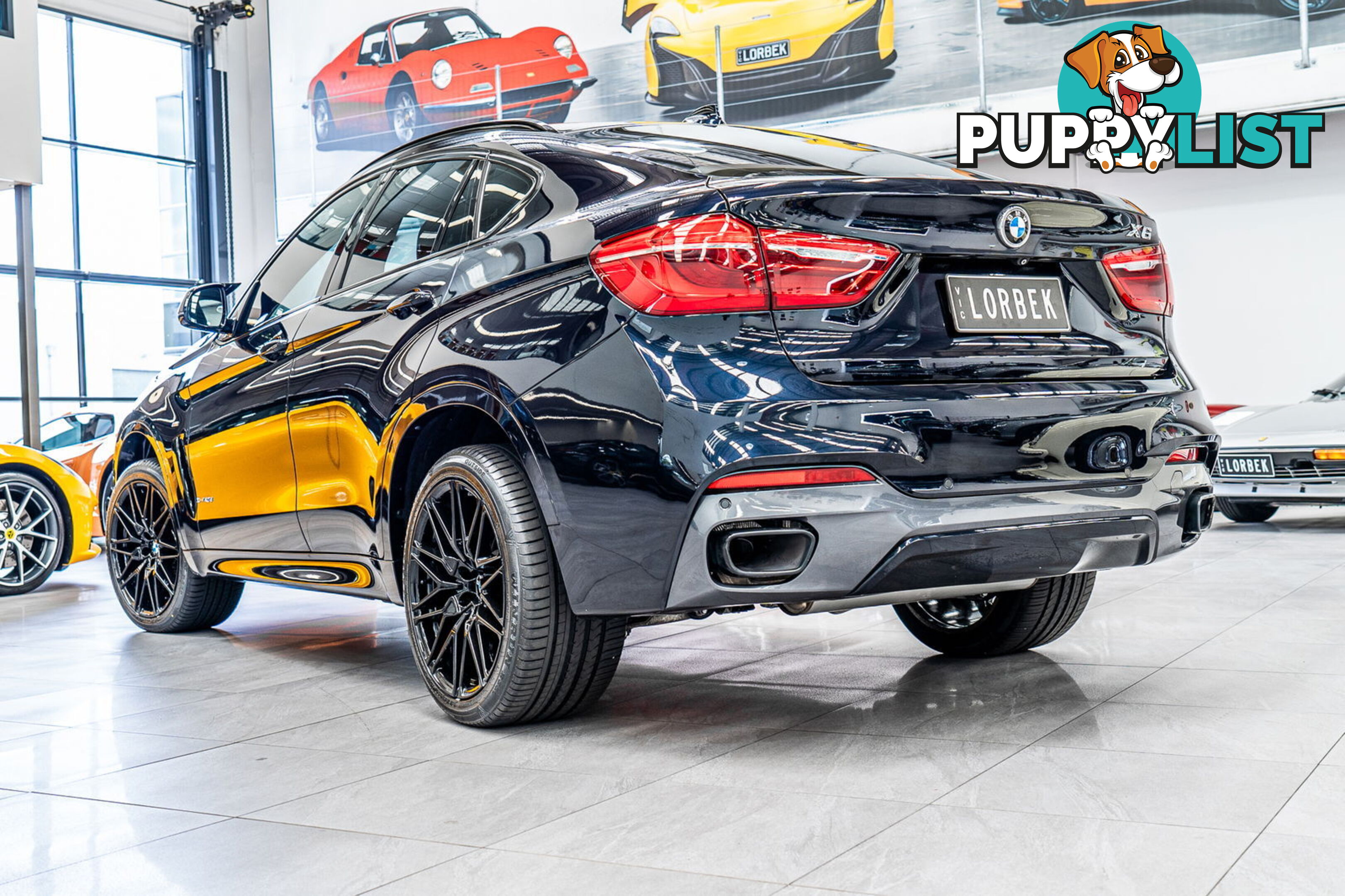 2015 BMW X6 xDrive40d F16